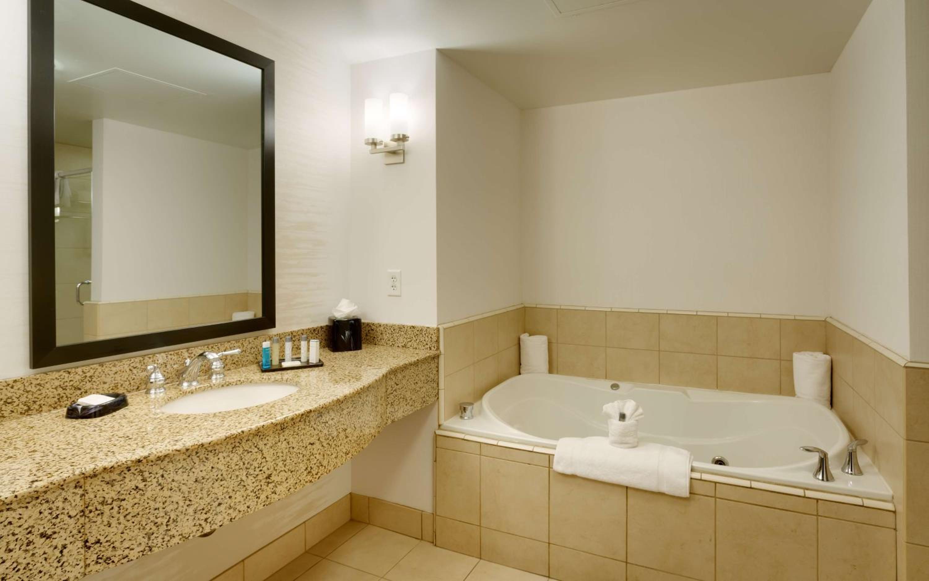 Deluxe King Suite - Photo 3