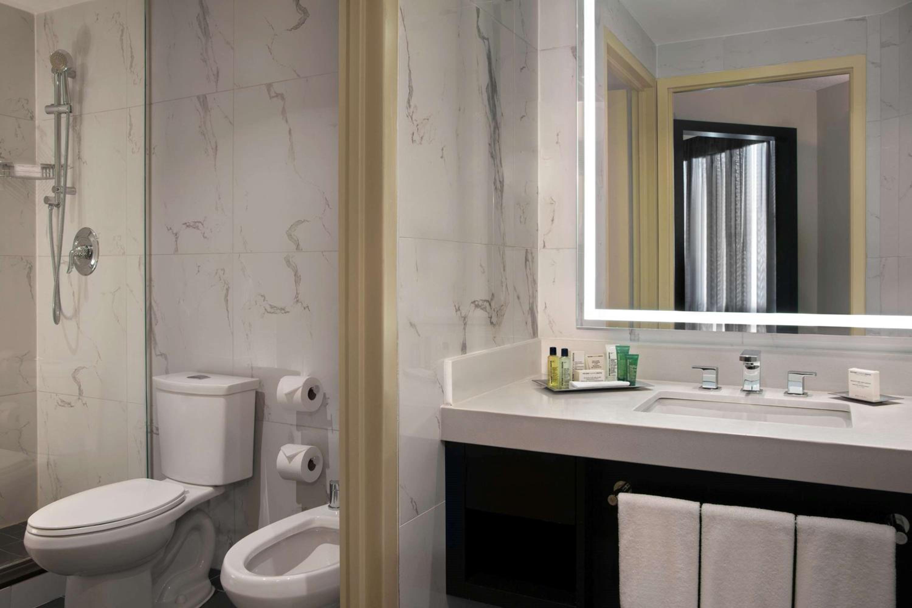 One-Bedroom Deluxe King Suite - Non-Smoking