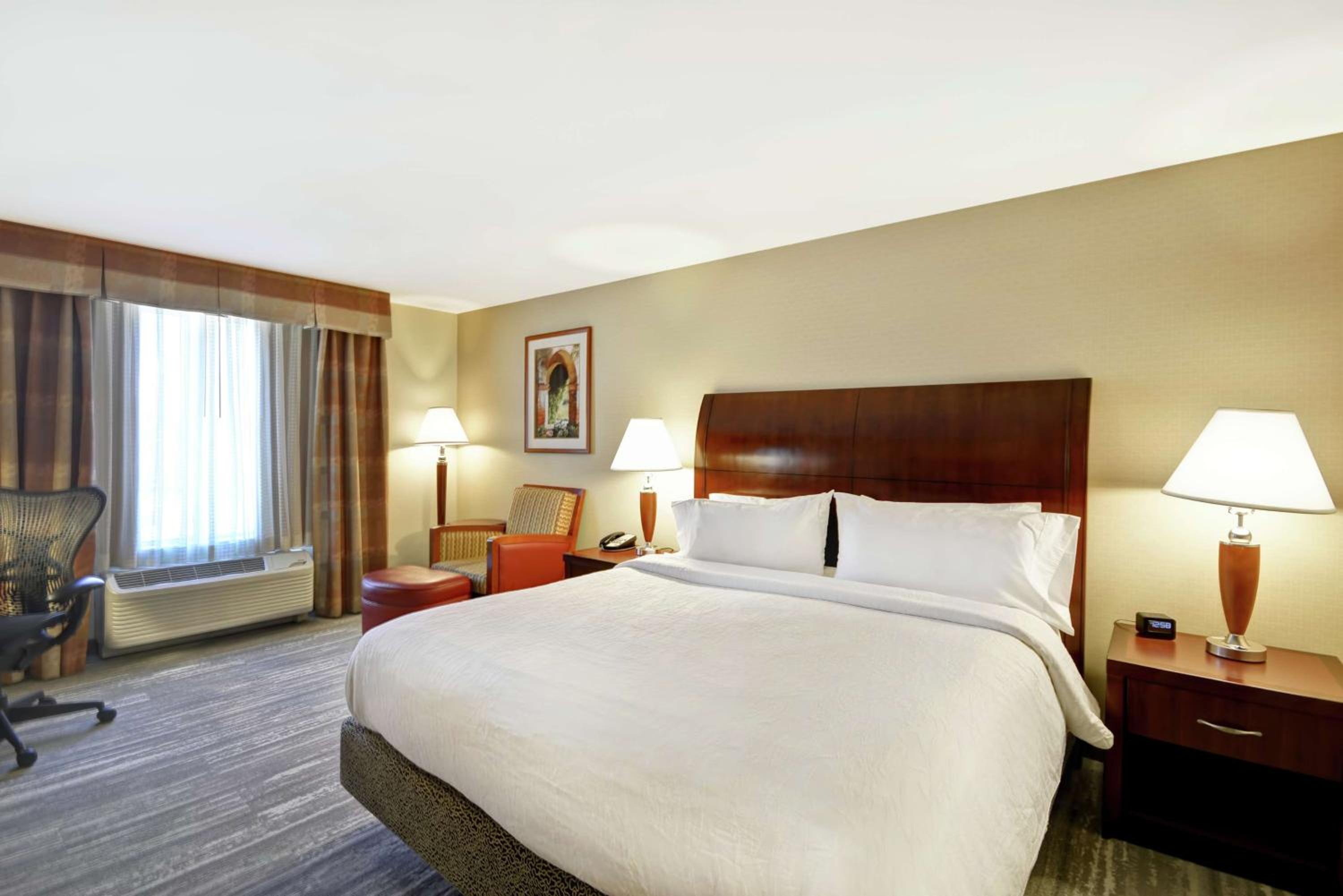 King Room photo 1