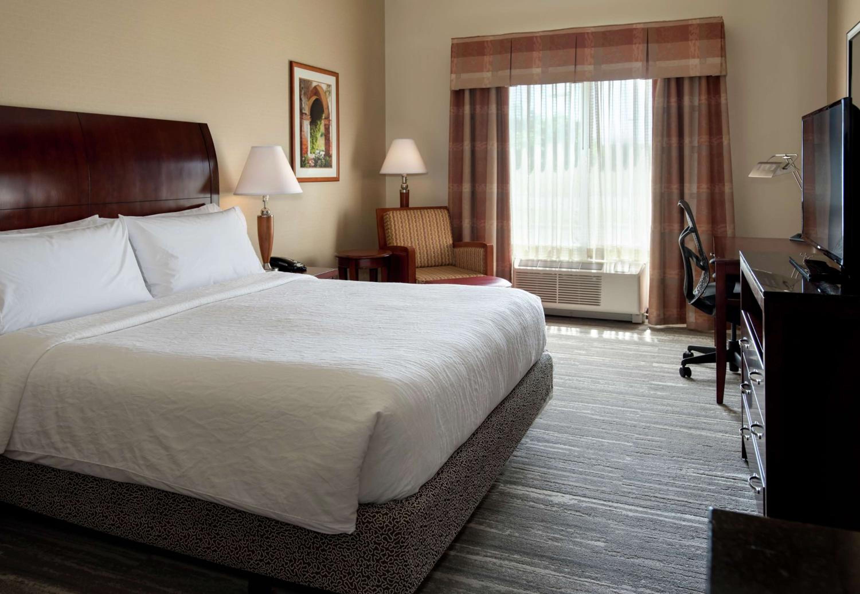 King Room photo 3