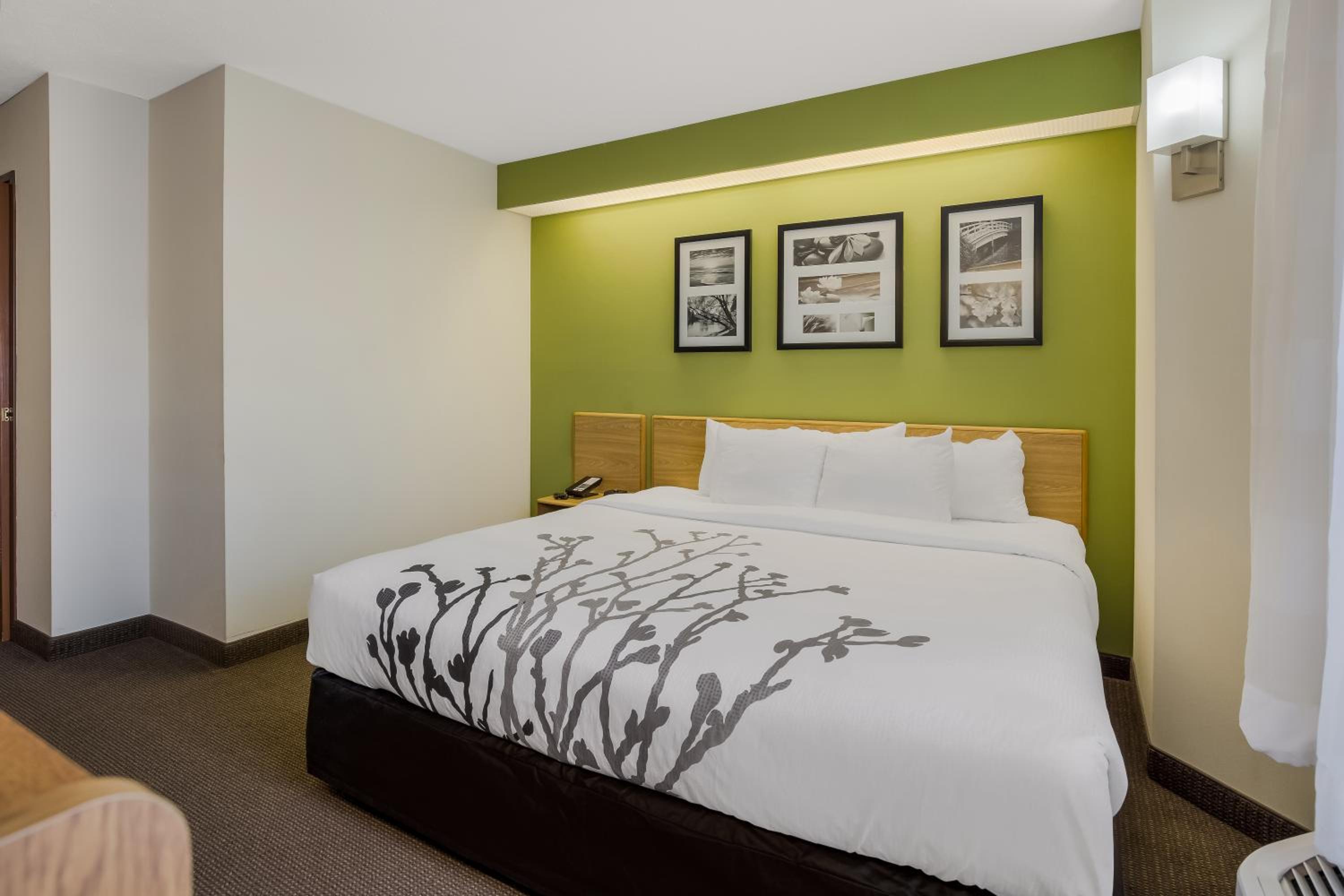 King Room - Accessible/Non-Smoking photo 3