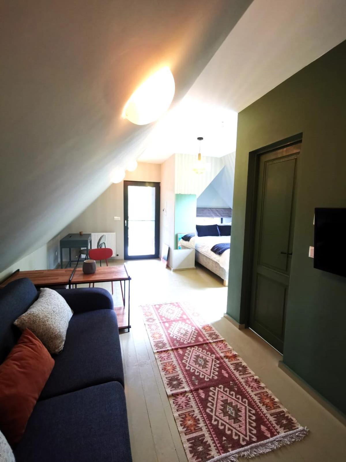 Studio with Terrace photo 1