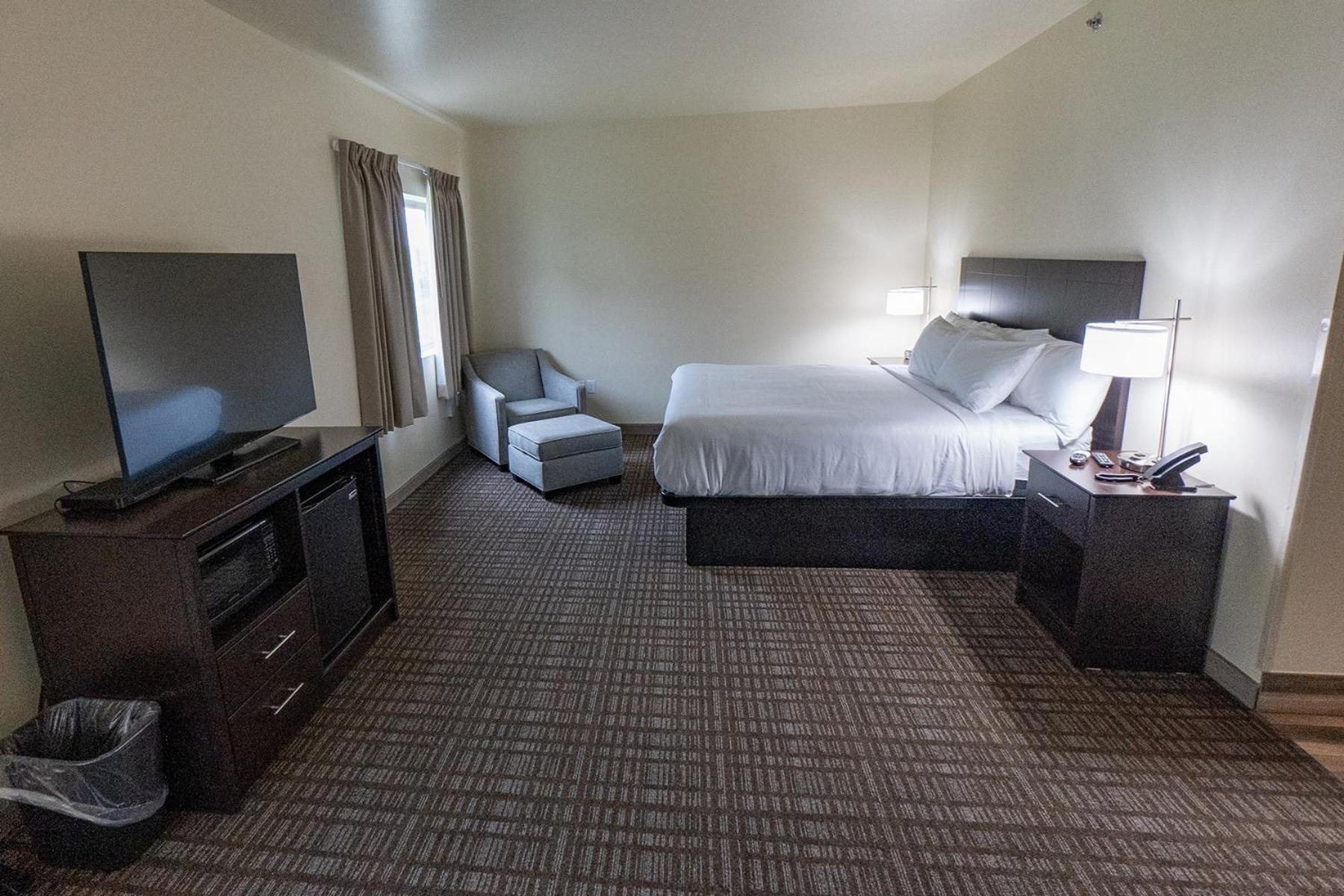Suite - Photo 1