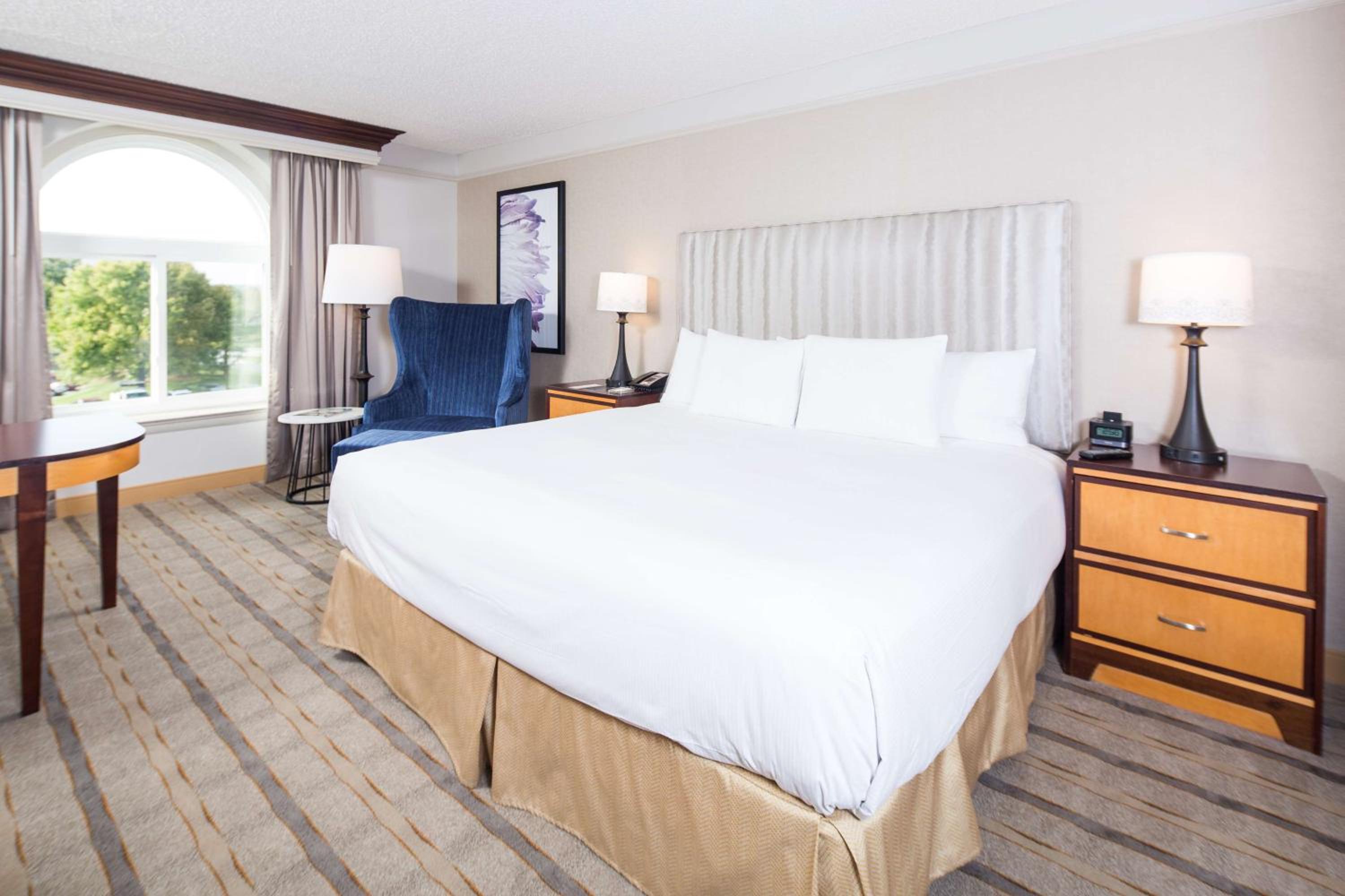 King Room - Photo 5
