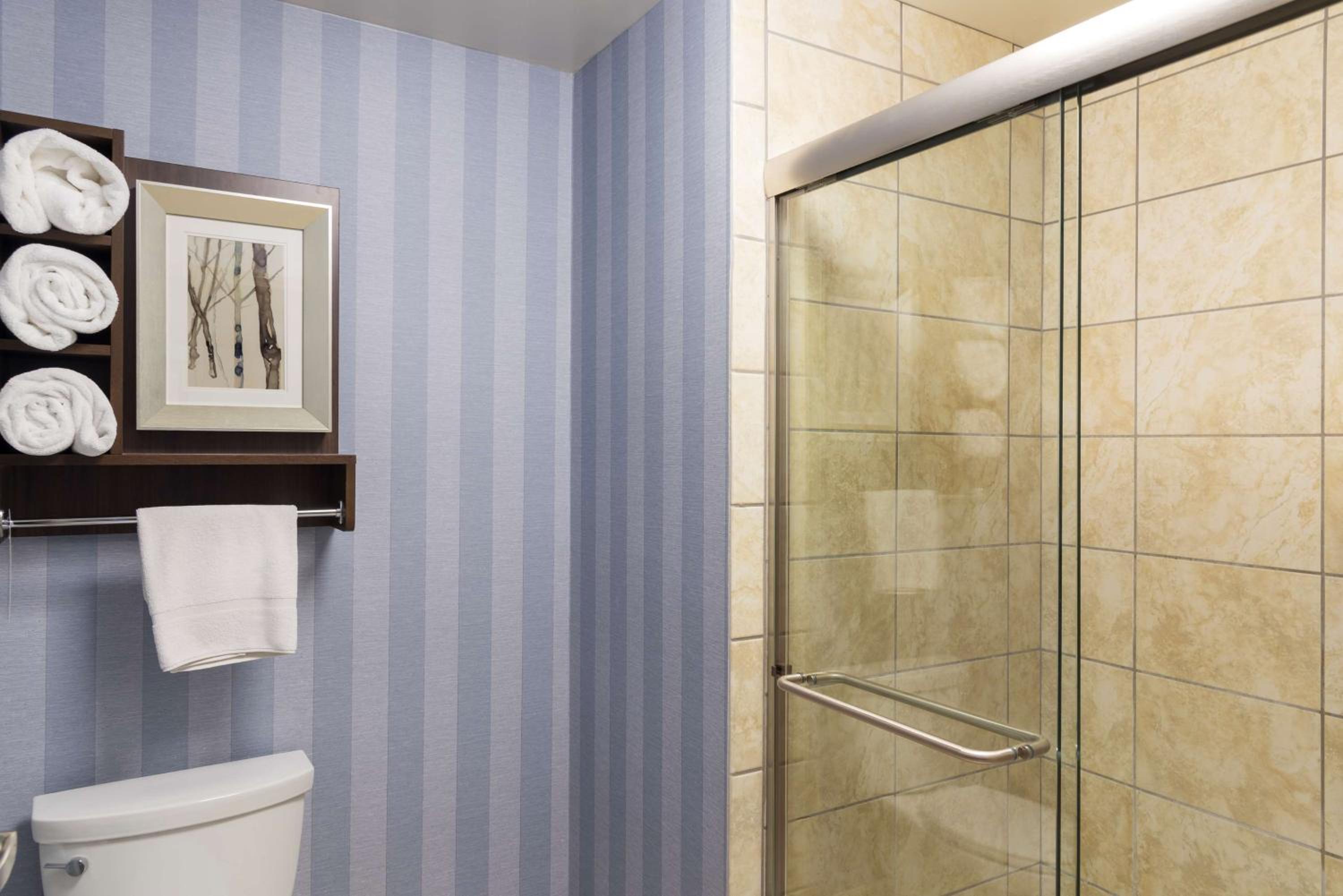 King Studio Suite - Non-Smoking - Photo 12