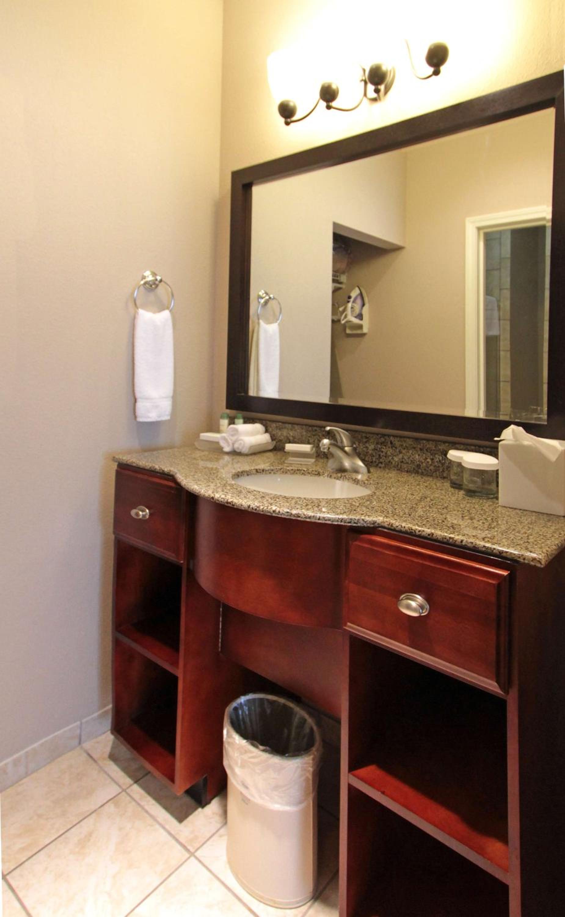 One-Bedroom King Suite - Non-Smoking - Photo 4