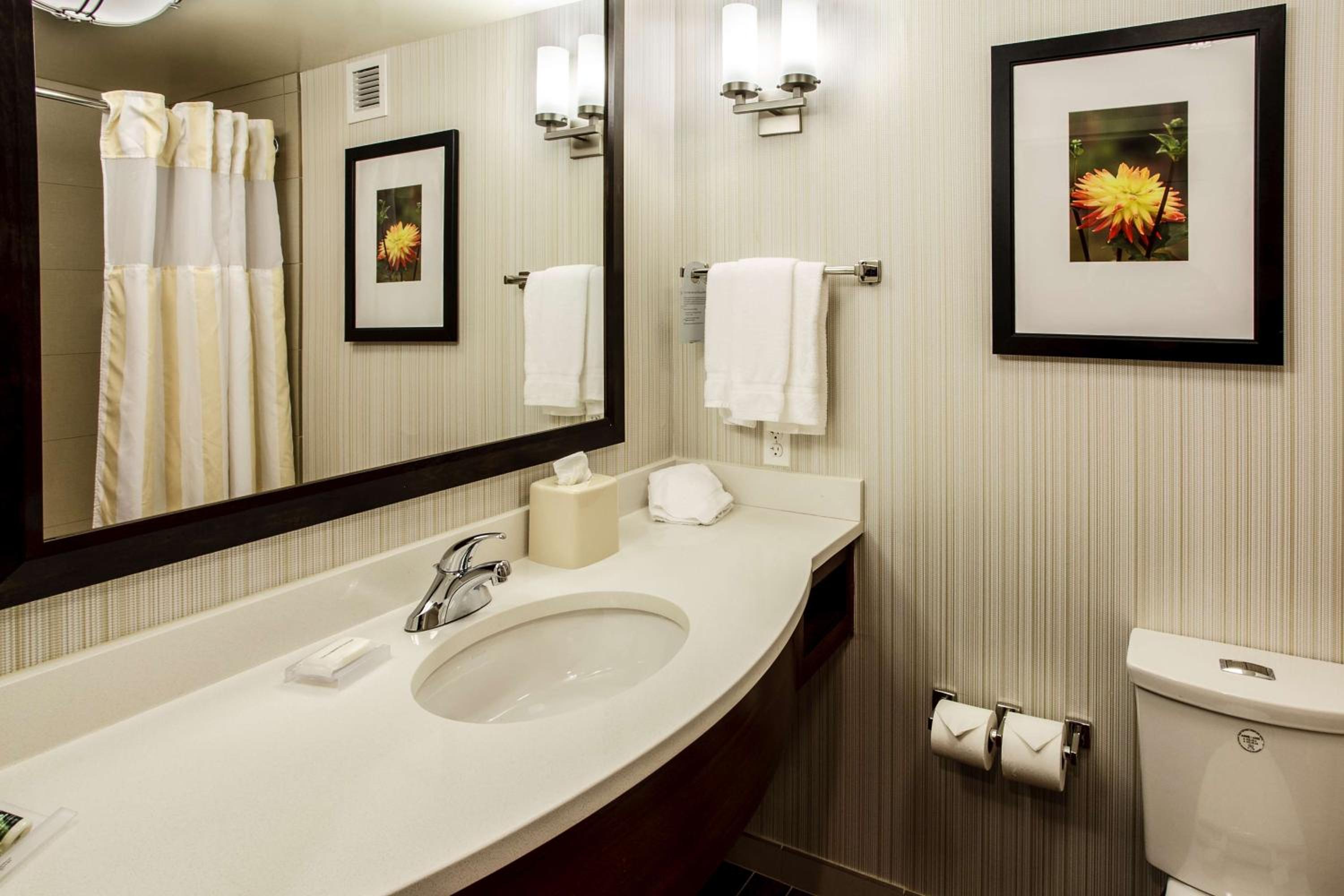 Junior King Suite - Photo 3