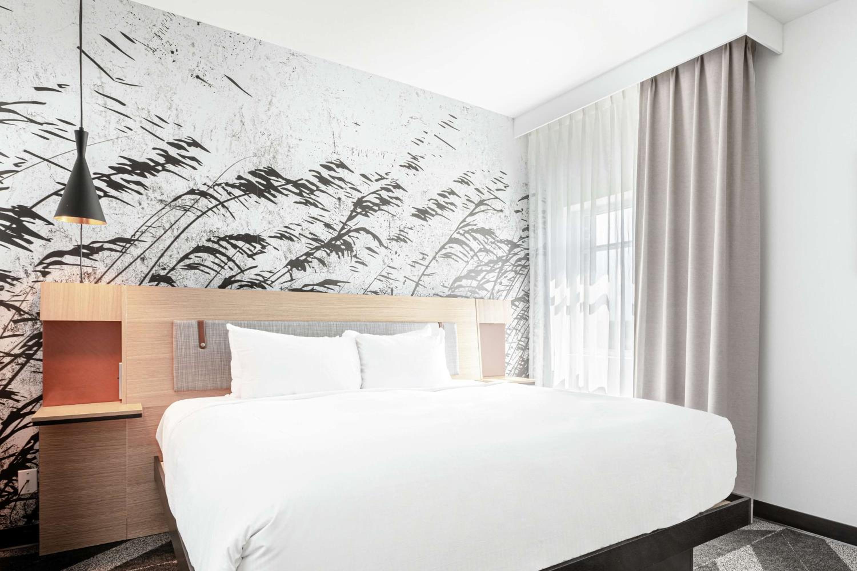 One-Bedroom King Suite - Photo 1