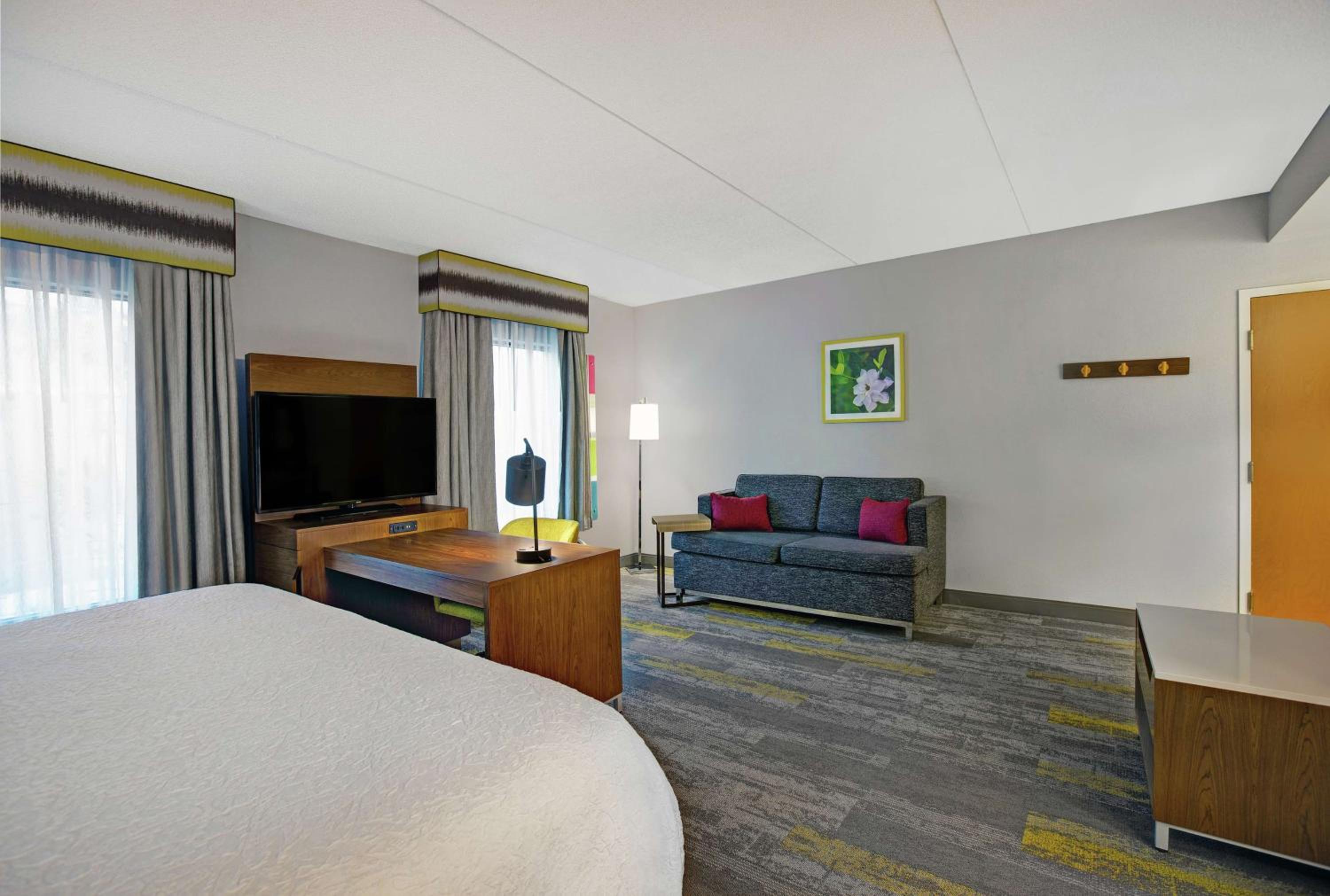 King Studio Suite with Sofa Bed - Non-Smoking - Photo 5