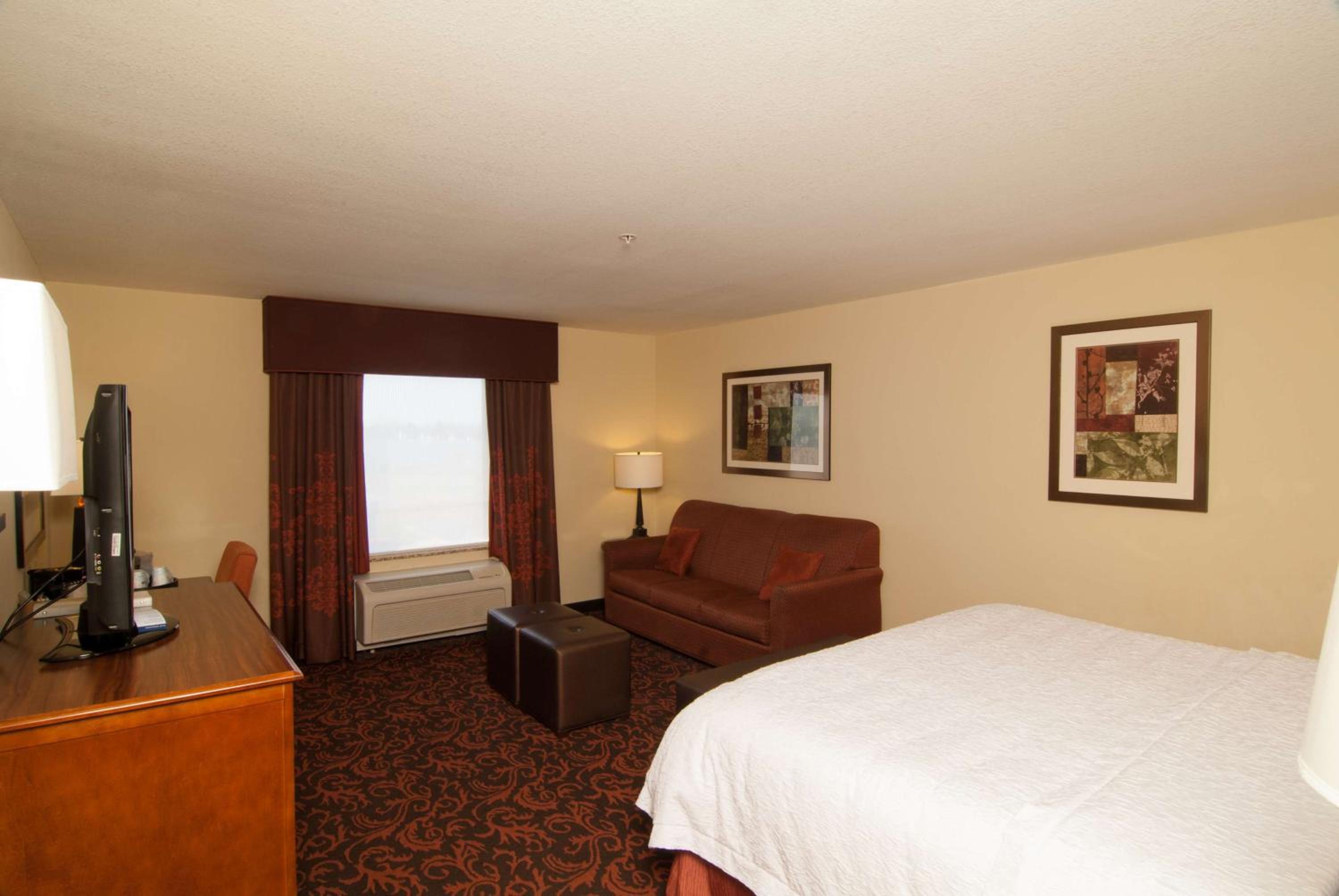 King Studio Suite with Sofa Bed - Non-Smoking - Photo 4