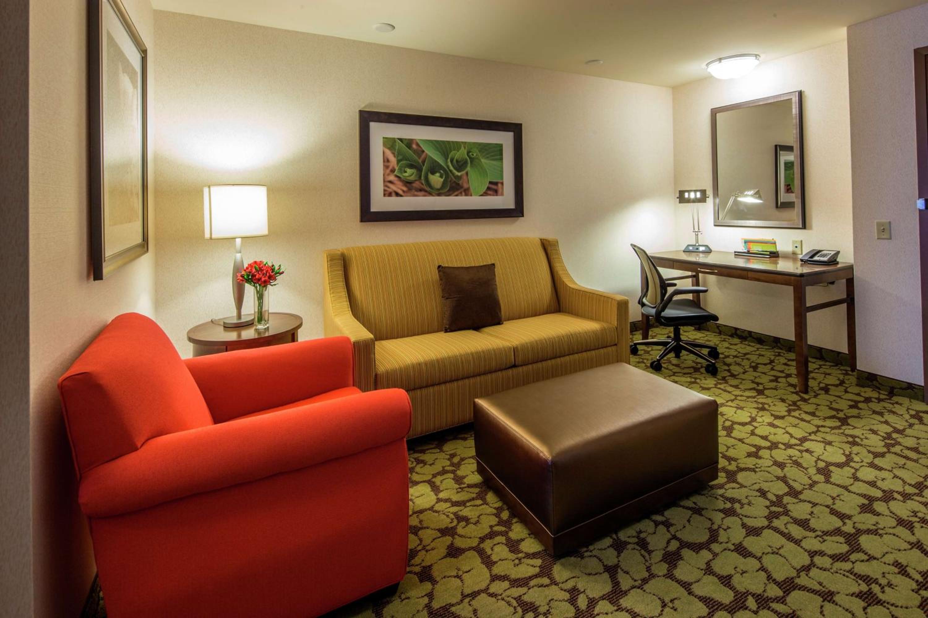 One-Bedroom King Suite