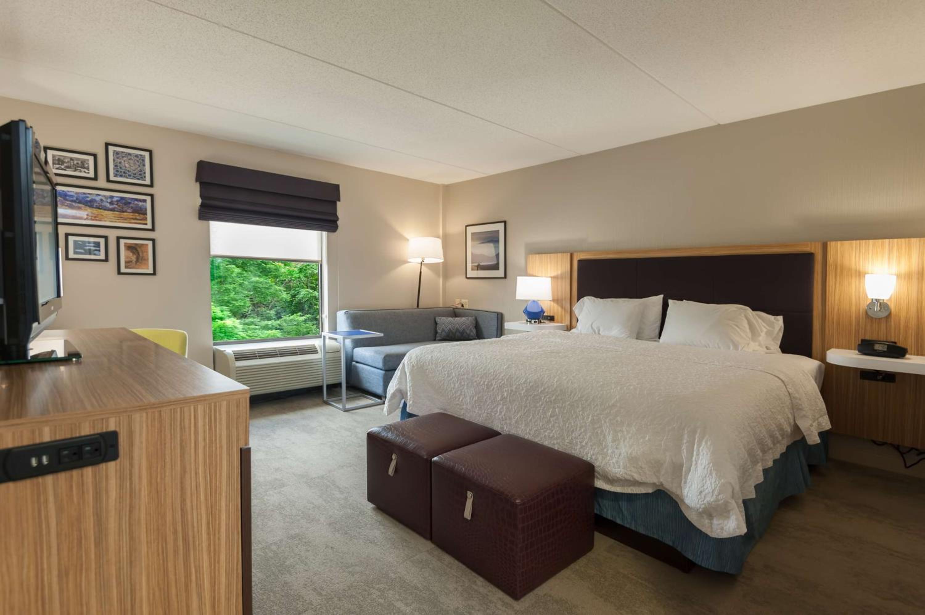 King Room - Photo 1