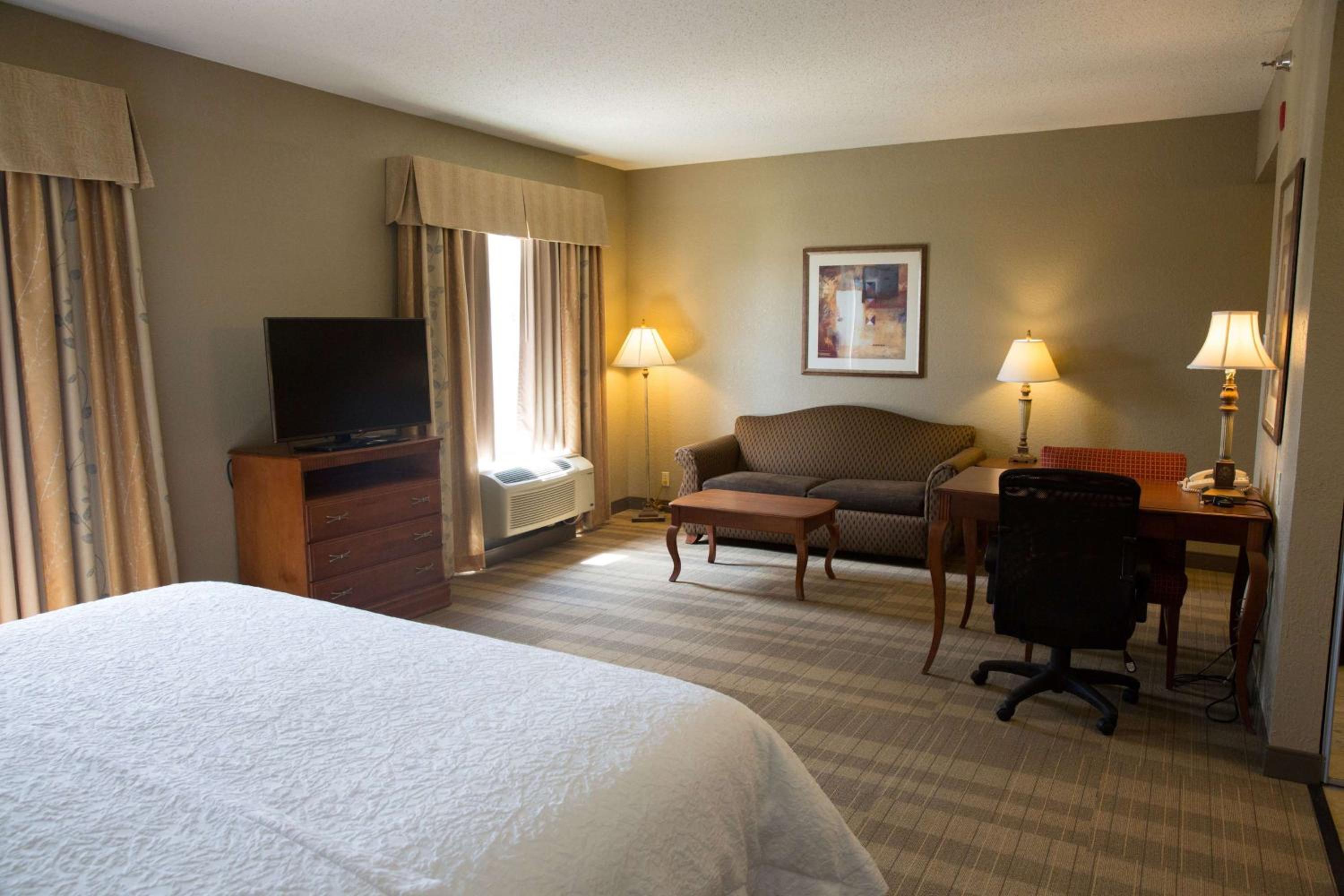 King Studio Suite with Sofa Bed - Non-Smoking - Photo 3