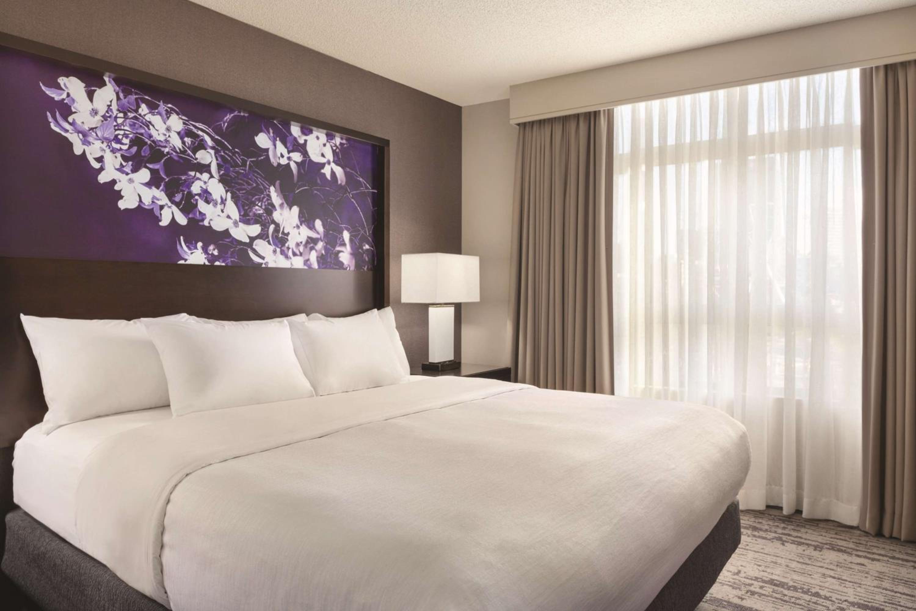 One-Bedroom King Suite with Sofa Bed - Photo 6