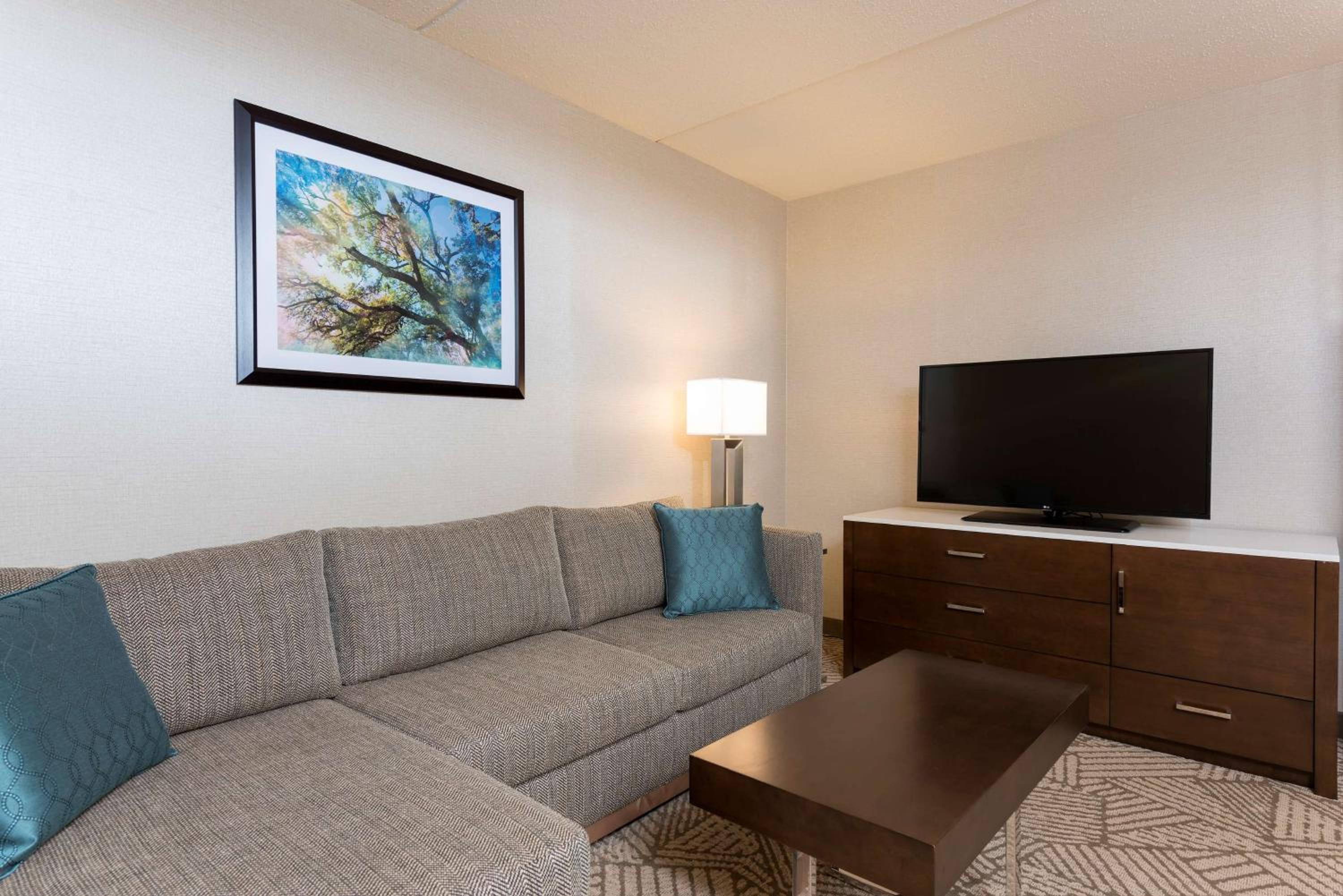 Two-Bedroom King Suite - Photo 4