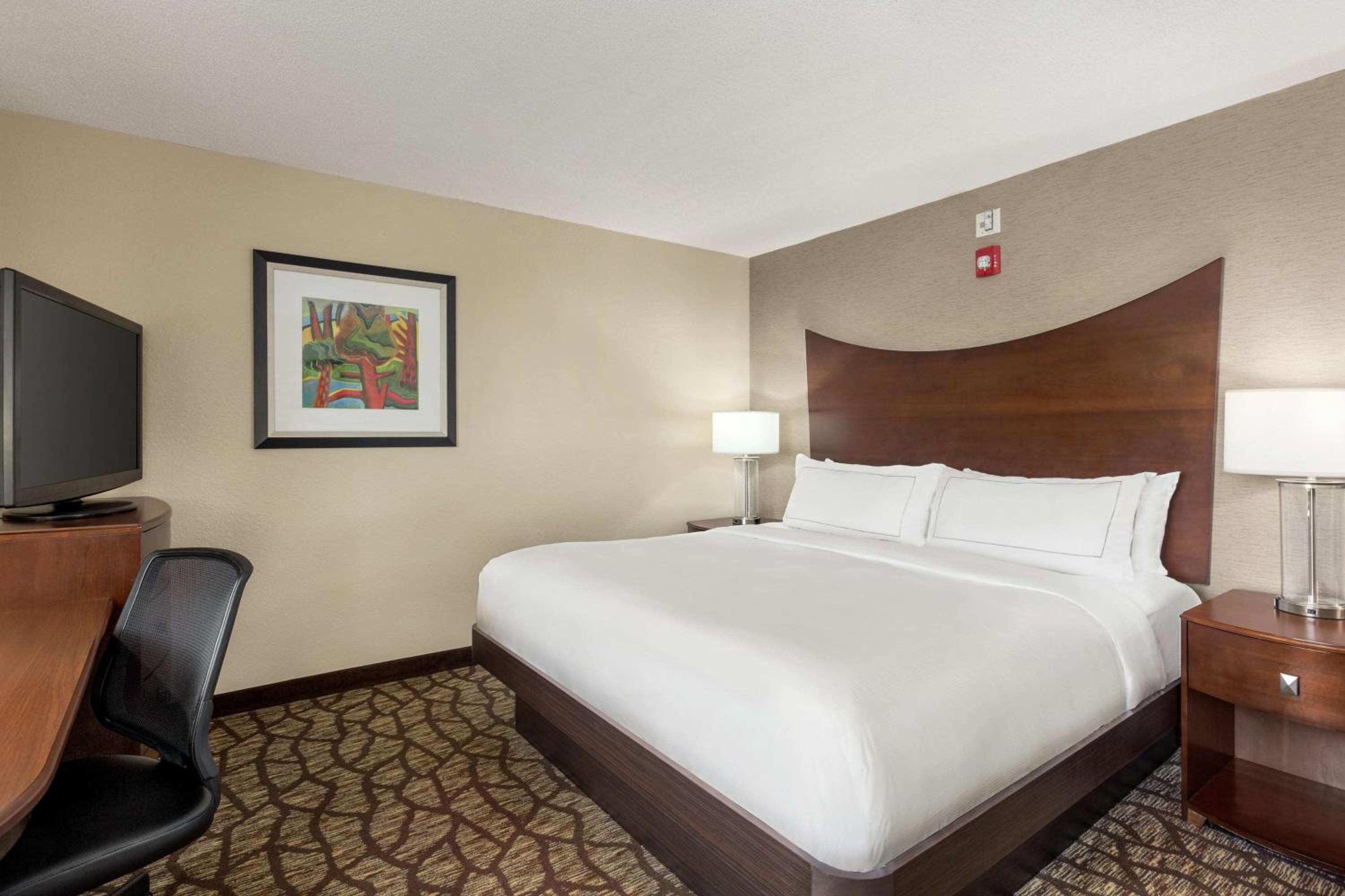 King Room with Bath Tub - Mobility Access - Photo 1