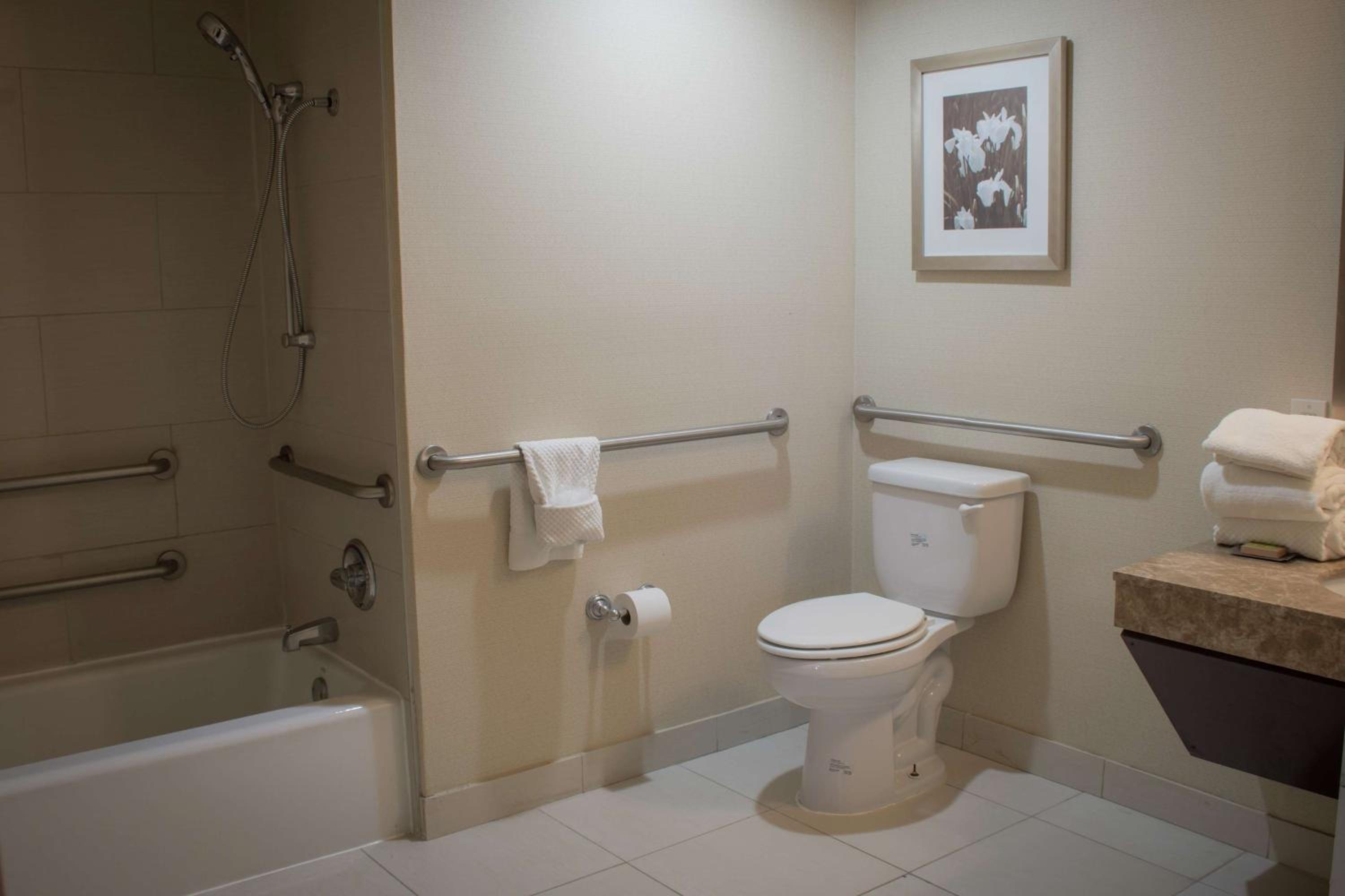 King Room with Mobility Access and Bathtub with Grab Bars, Non-Smoking - Photo 5