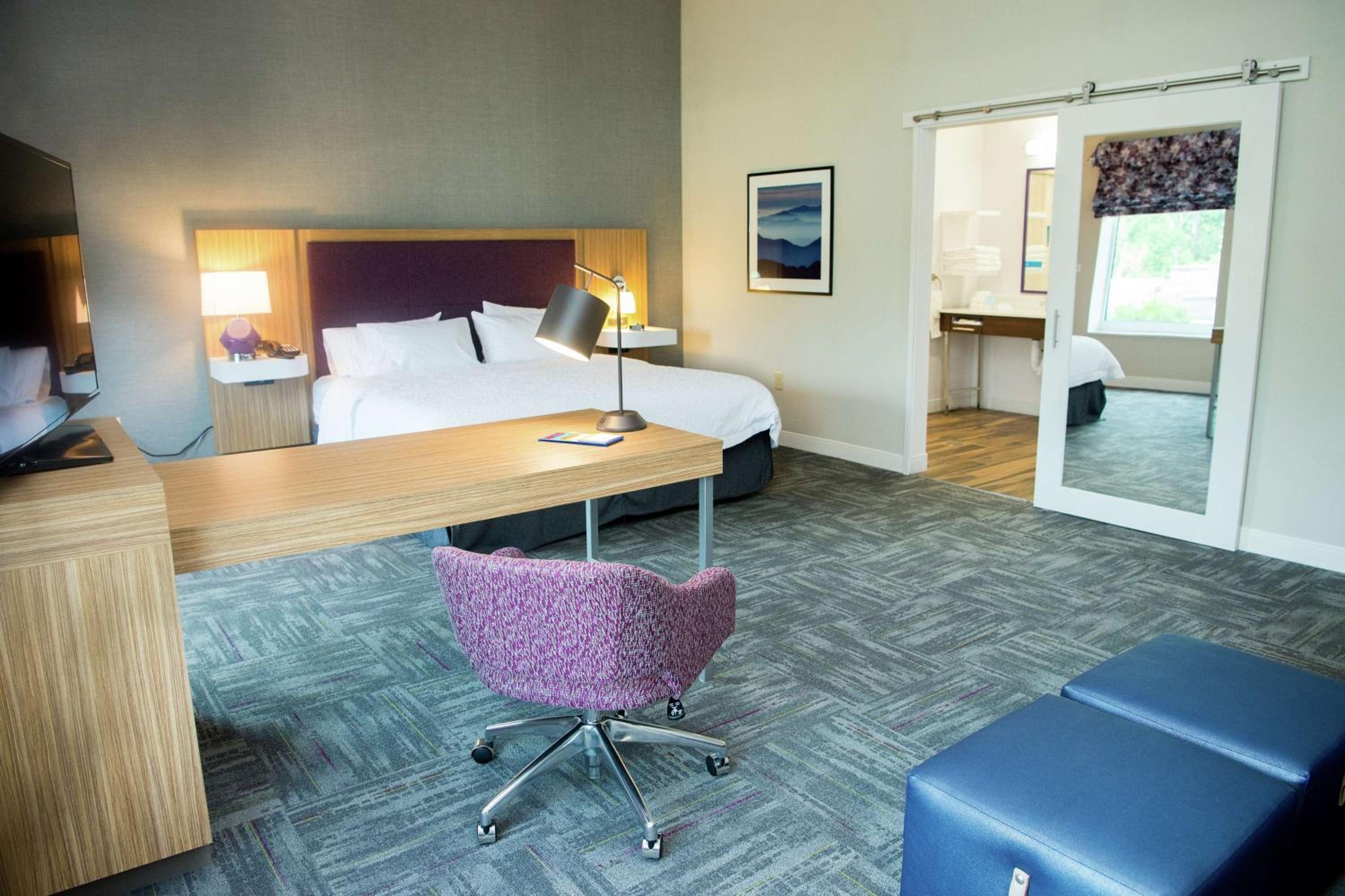 King Studio Suite with Sofa Bed photo 1
