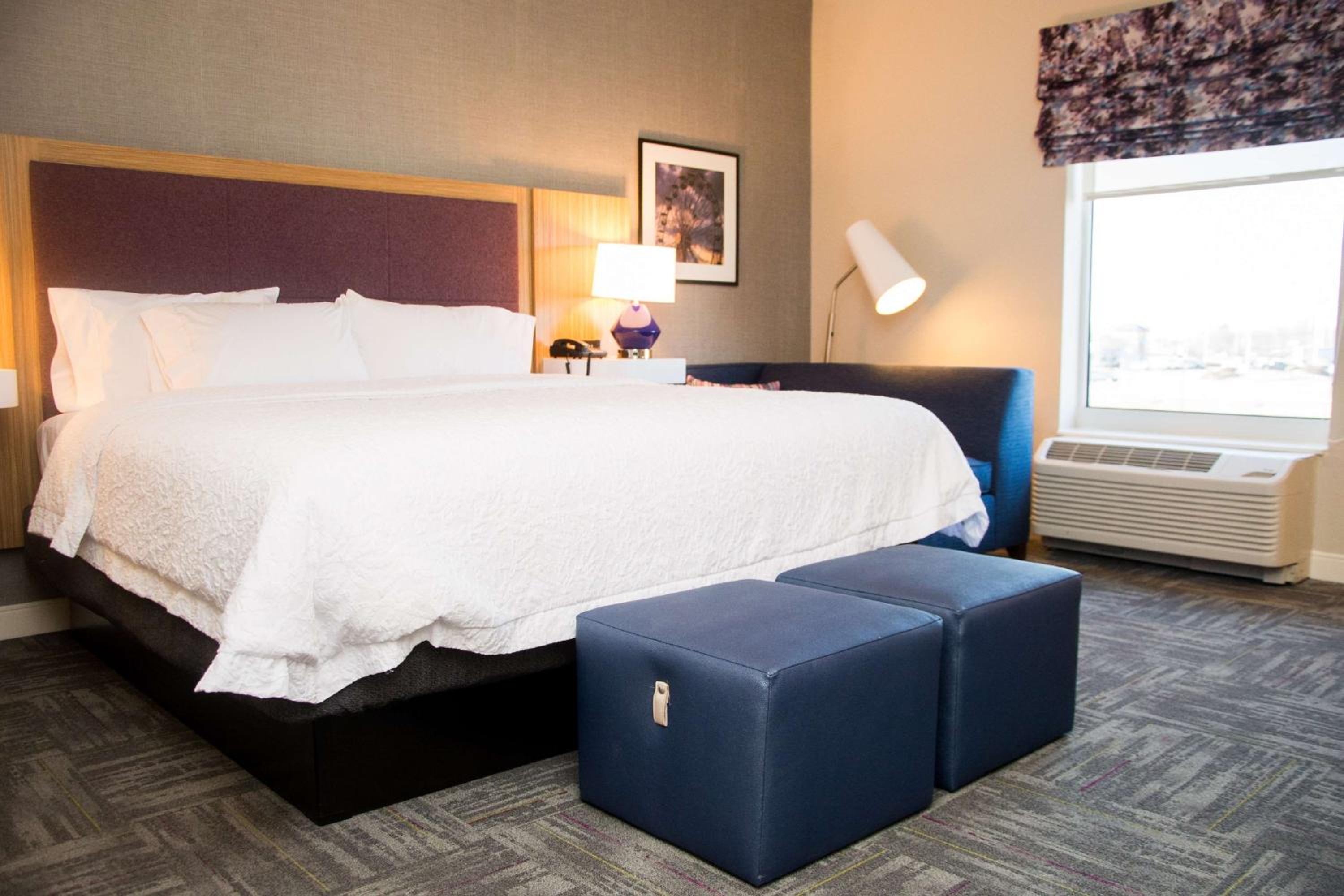 King Room photo 2