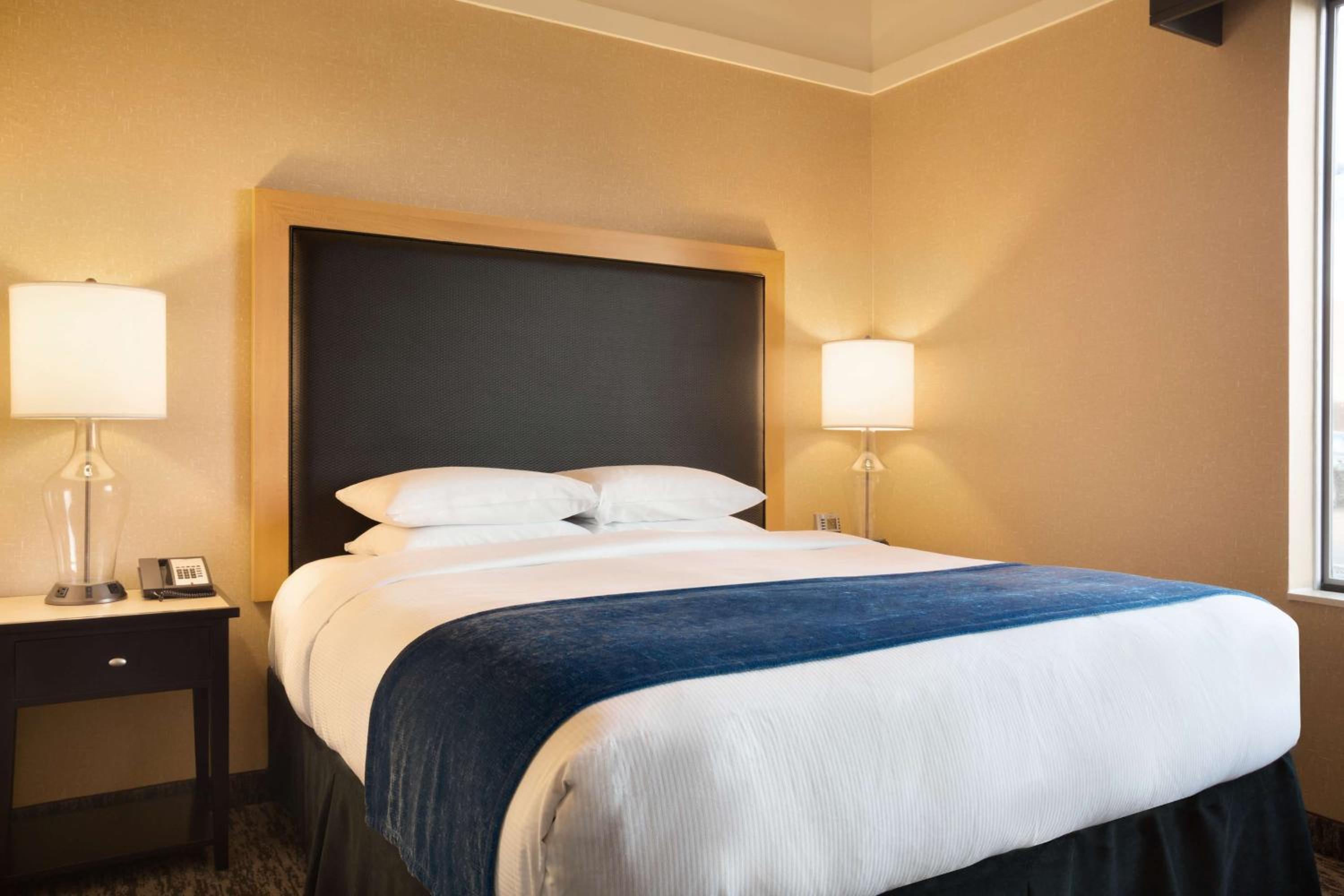 King Suite with Sofa Bed - Photo 2
