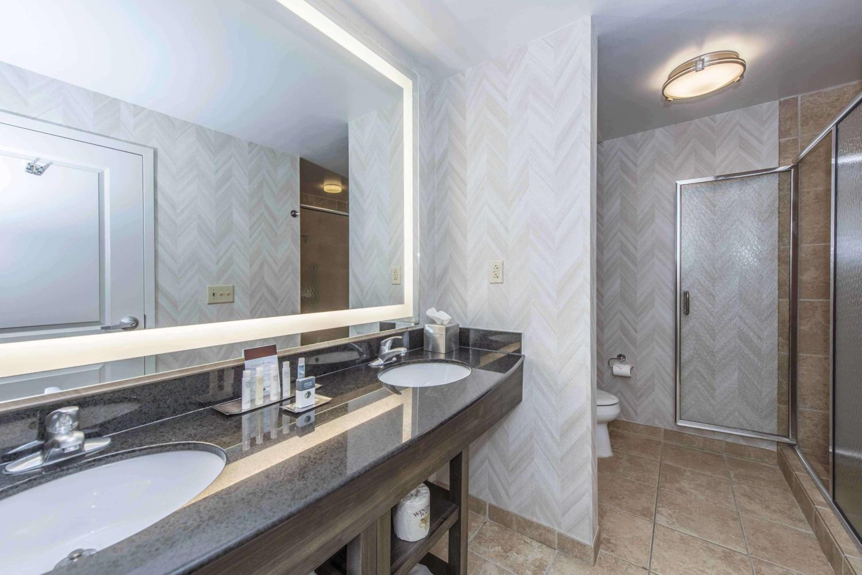 Junior King Suite - Disability Access with Roll-In Shower/Non-Smoking