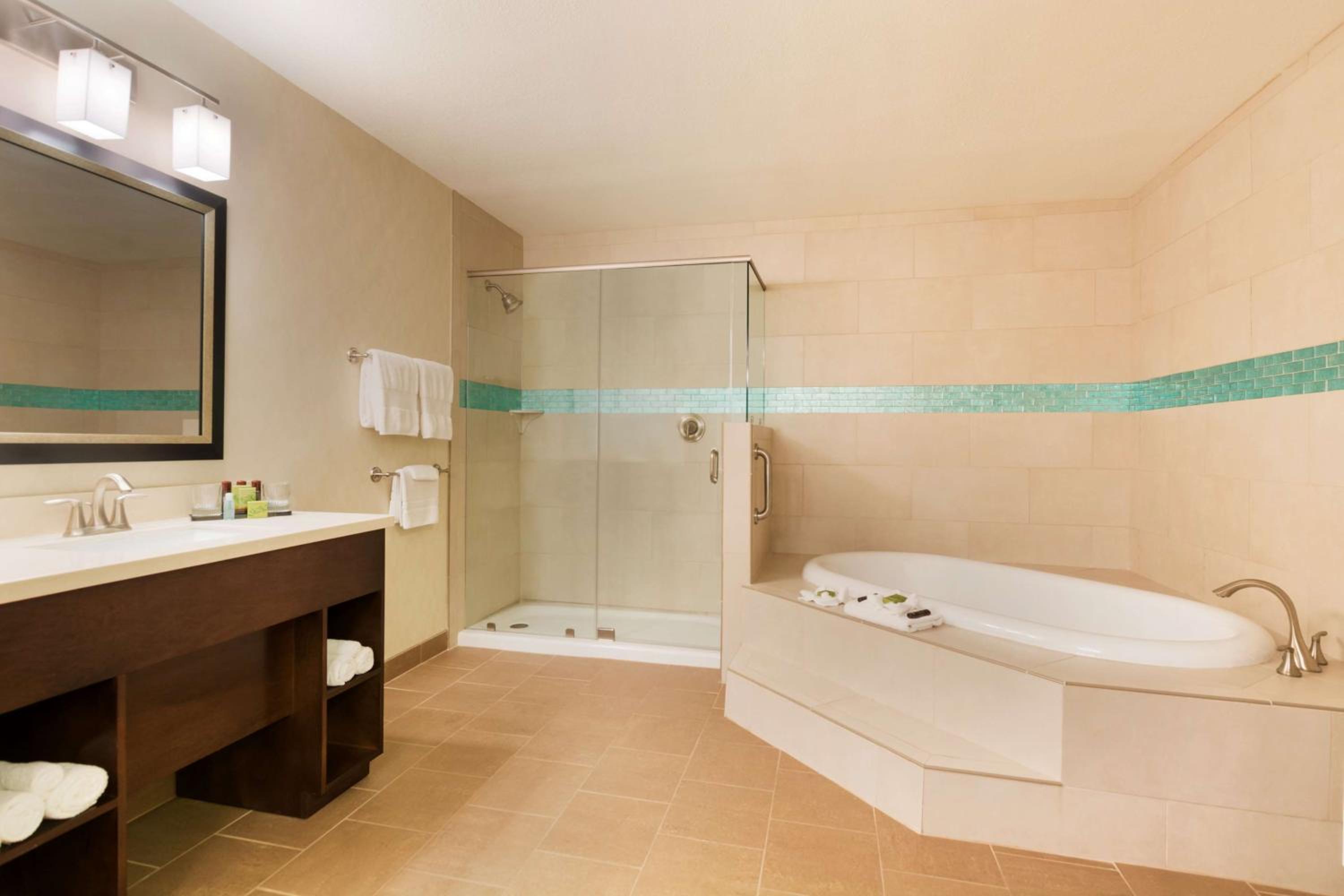 Presidential Suite - Disability Access photo 3