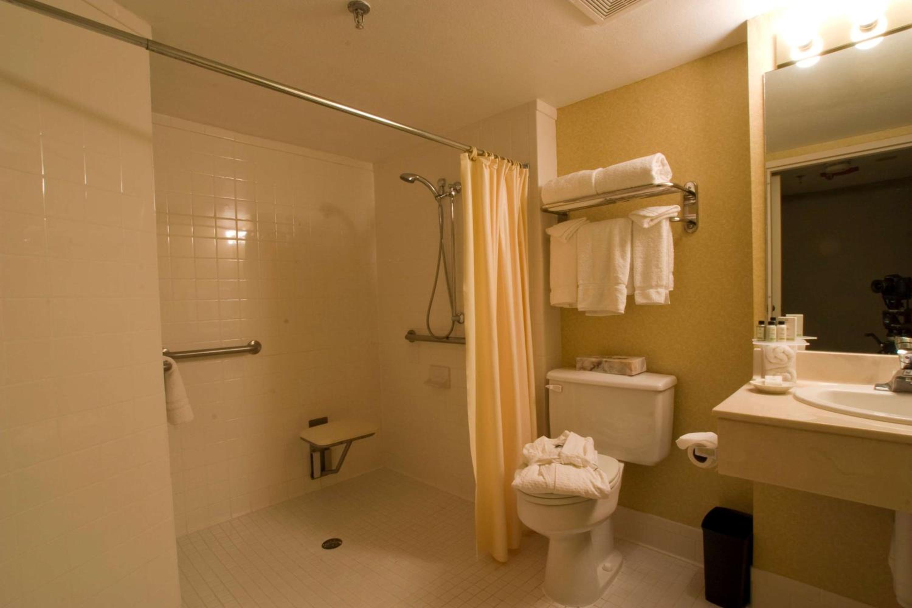 One-Bedroom King Suite with Roll-In Shower - Mobility Access/Non-Smoking - Photo 2