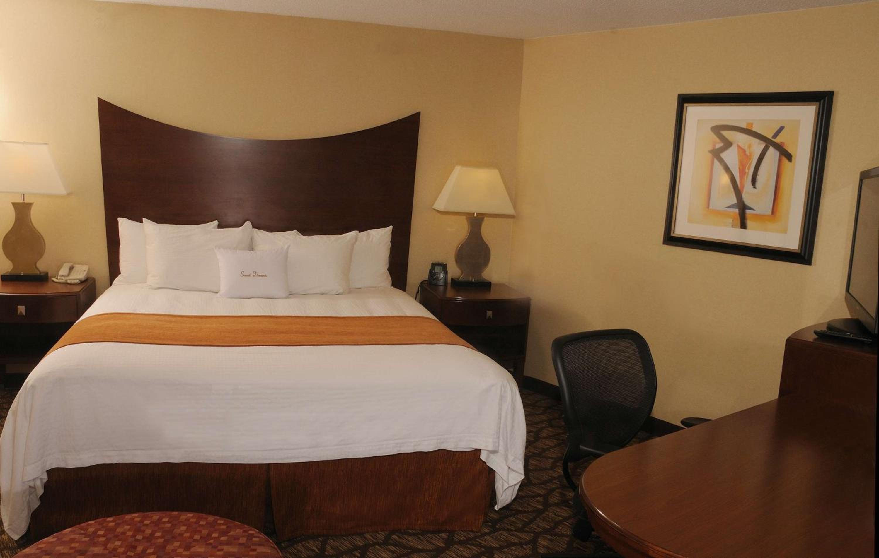 King Room - Photo 1