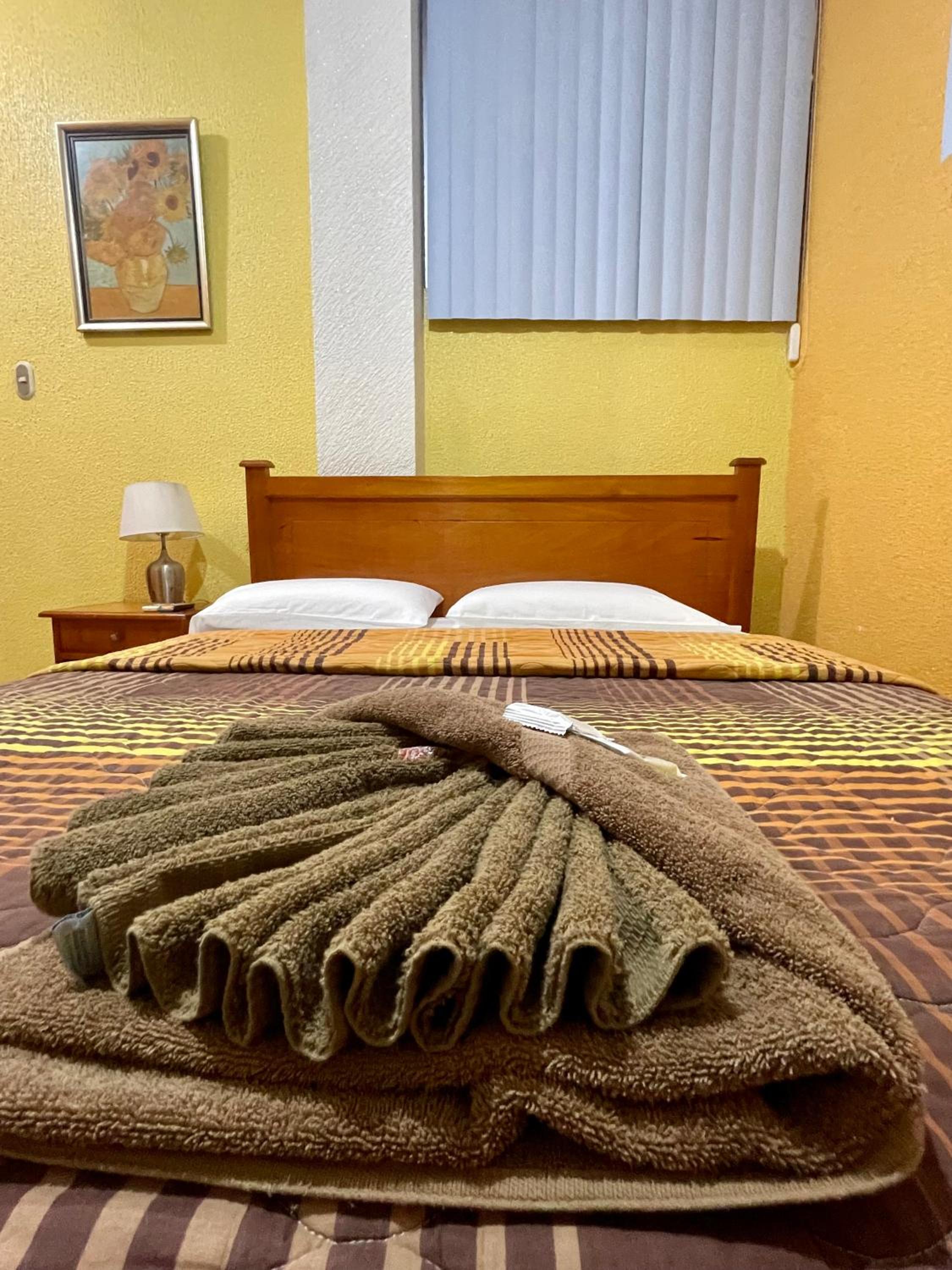 Single Room photo 3