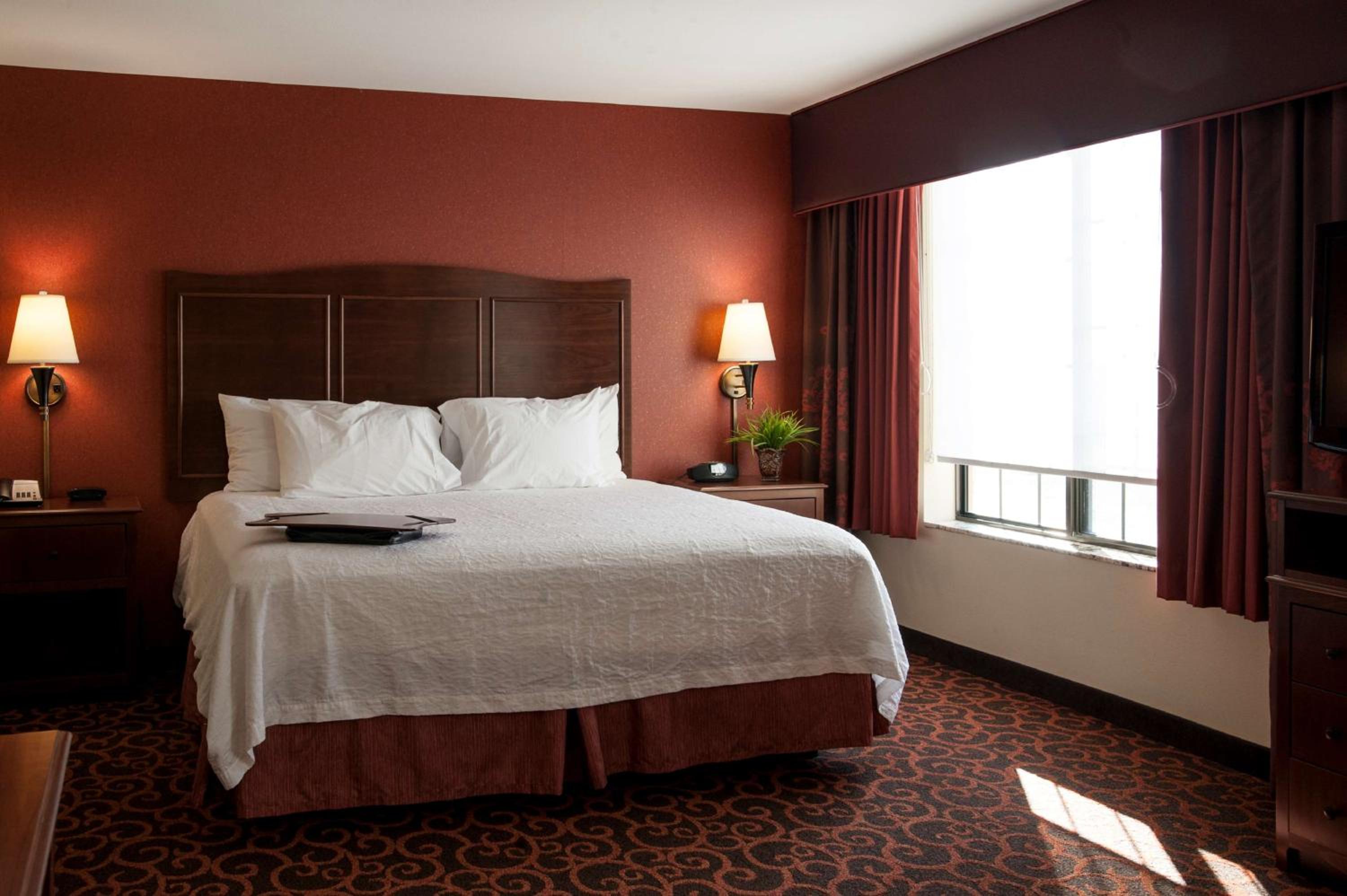 King Studio Suite with Sofa Bed - Non-Smoking - Photo 3