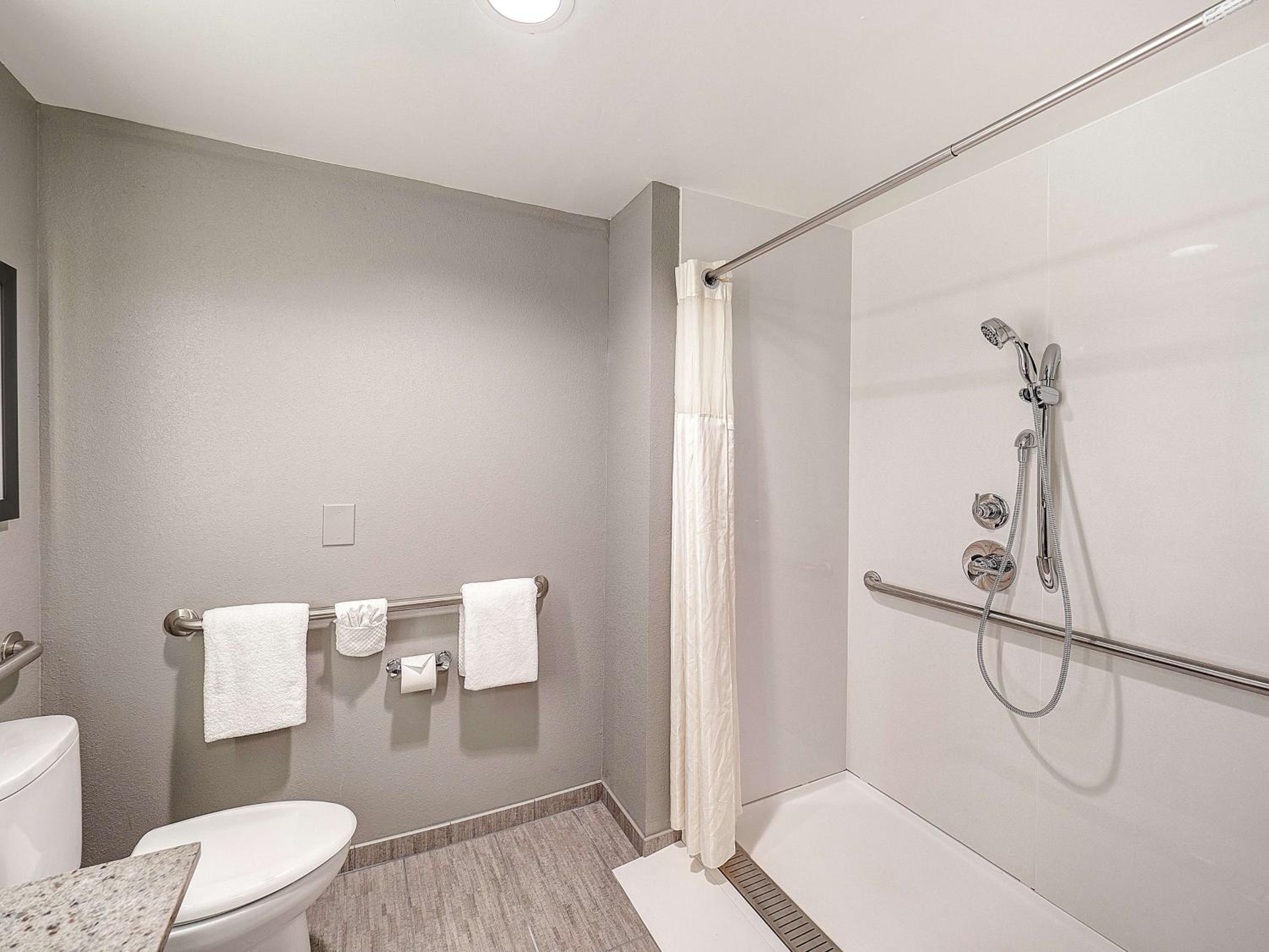 King Room with Roll-In Shower - Mobility Access photo 2
