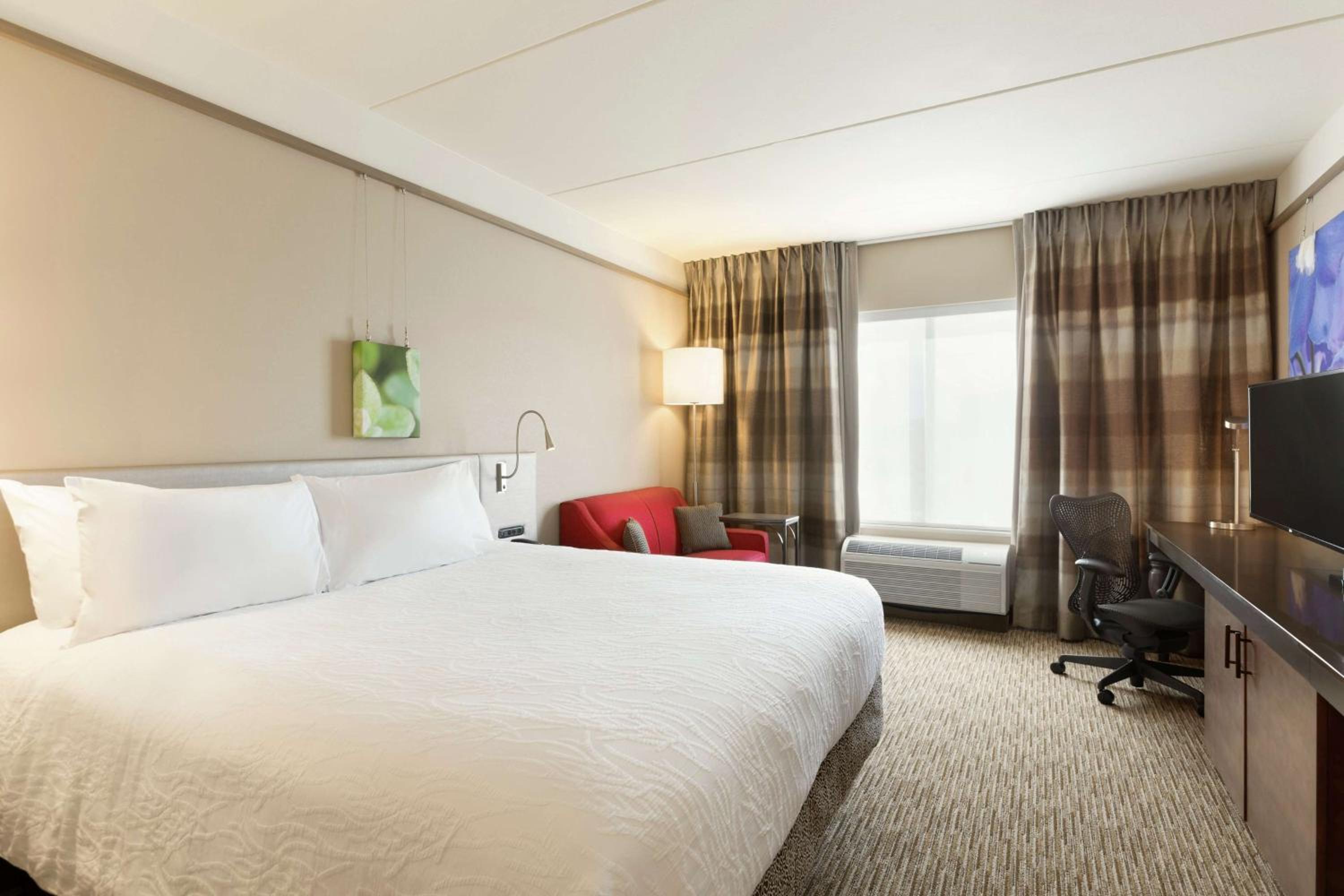 Premium King Room photo 3