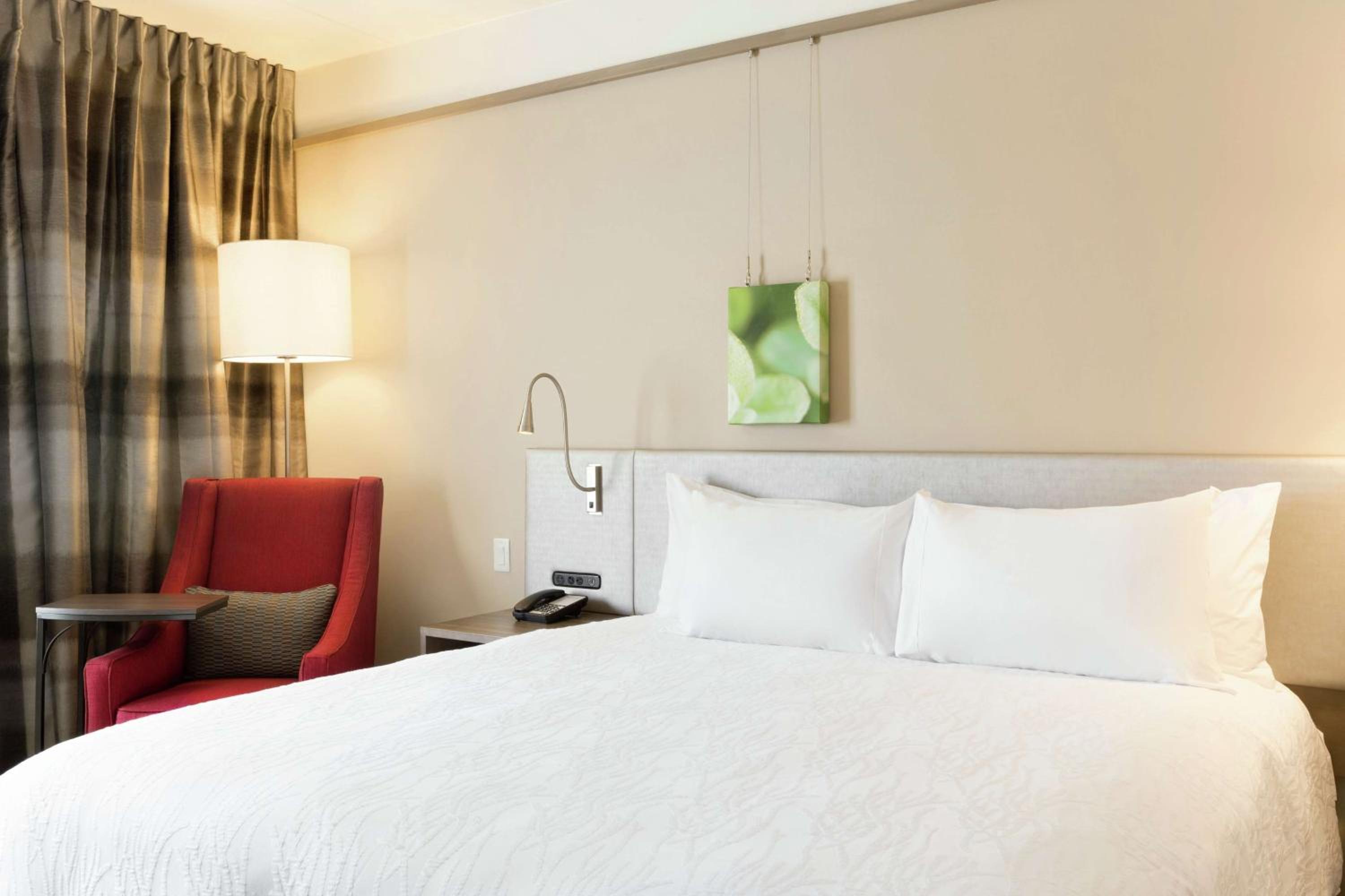 Premium King Room photo 2