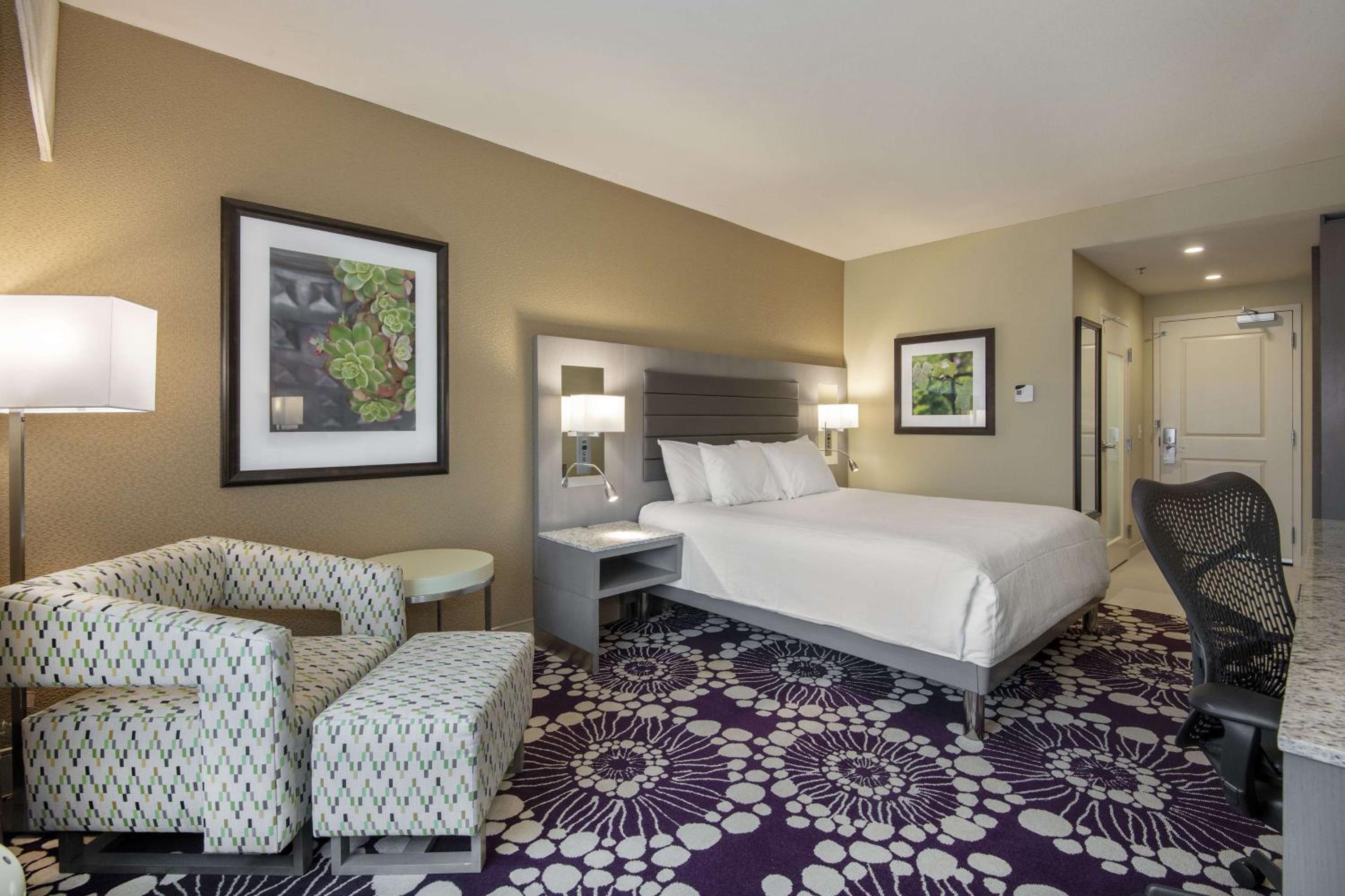 King Room photo 2
