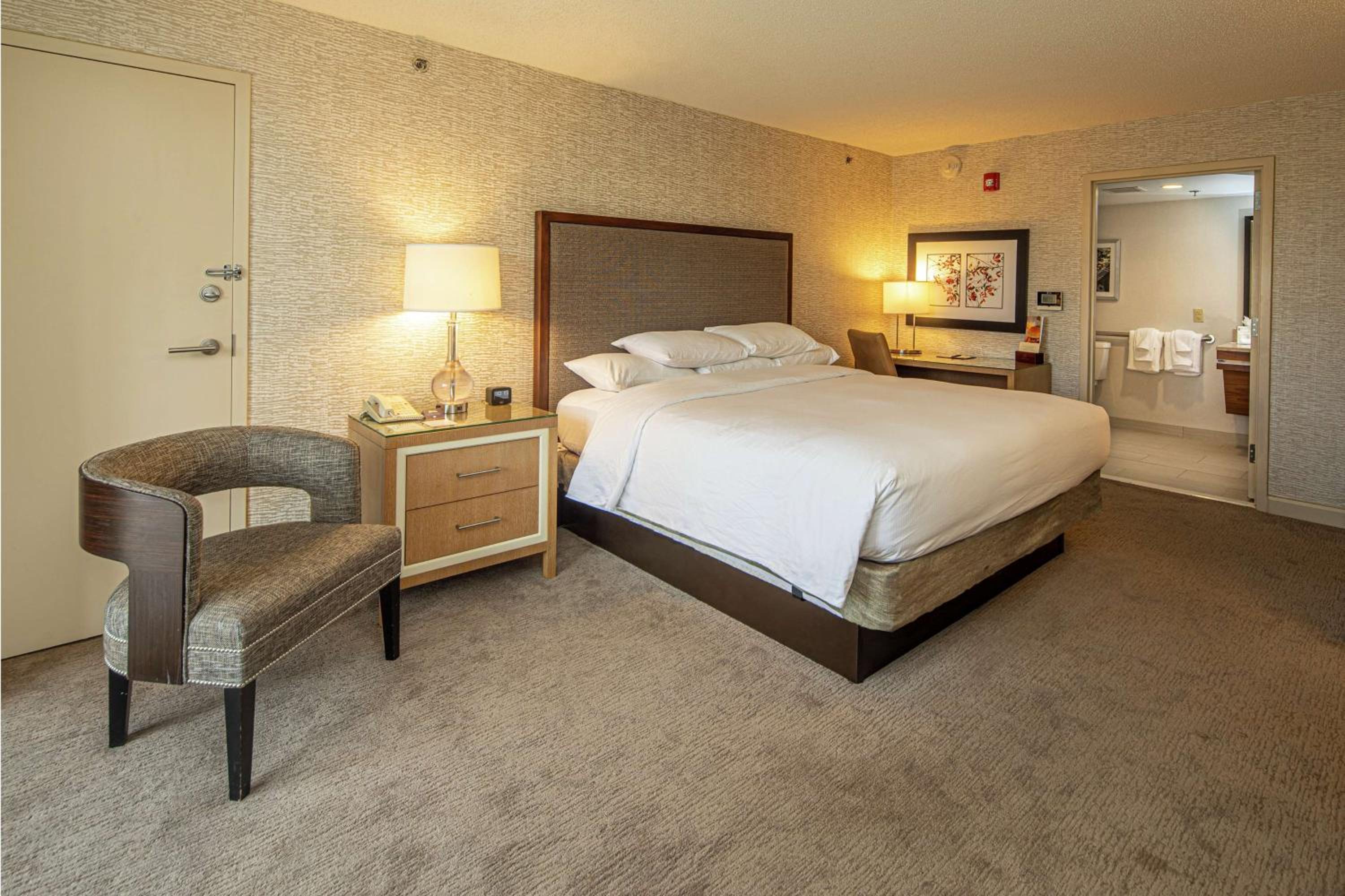 King Room with Roll-In Shower - Mobility Access/Non-Smoking - Photo 1