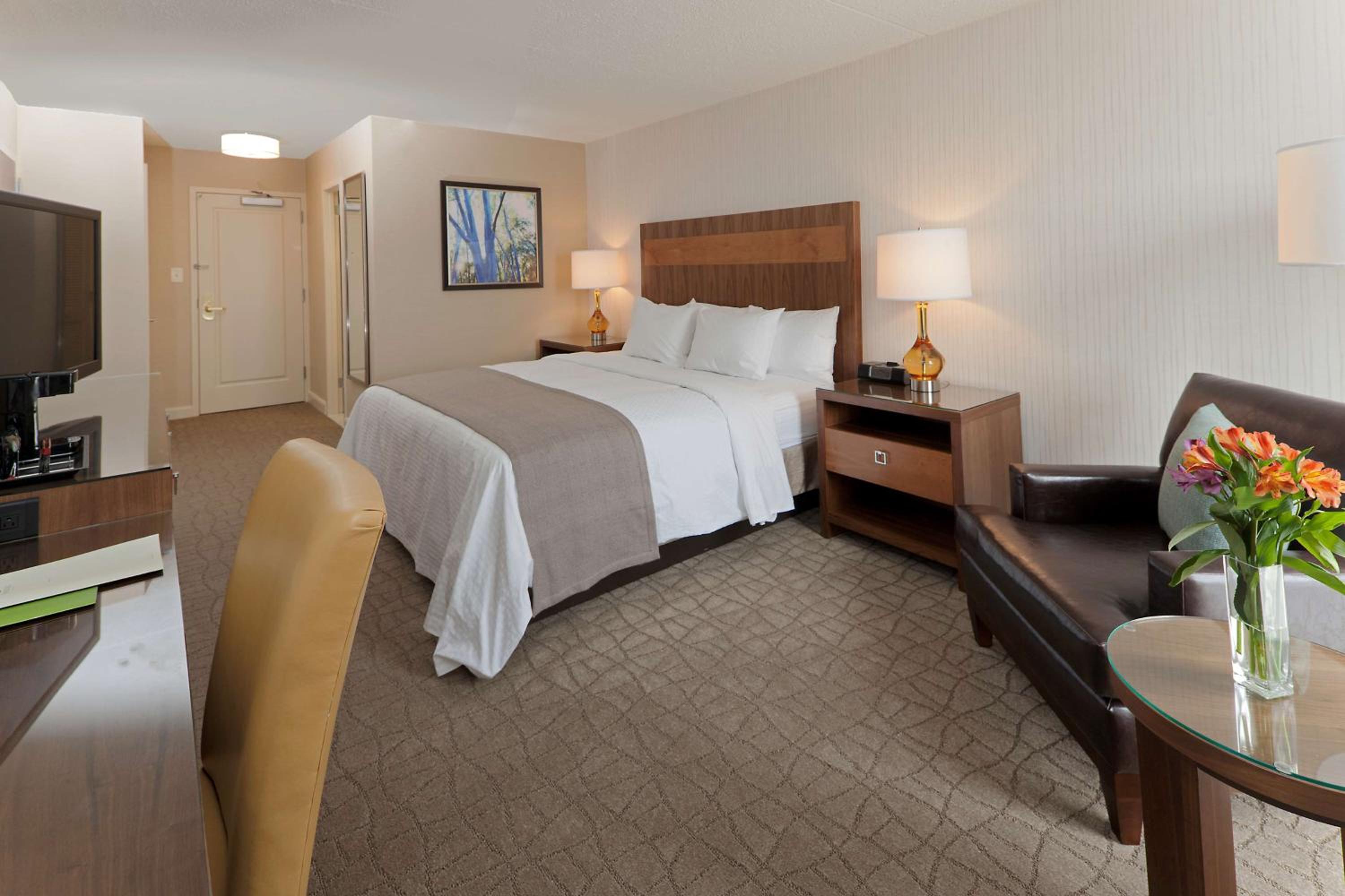 King Room - Non-Smoking - Photo 2