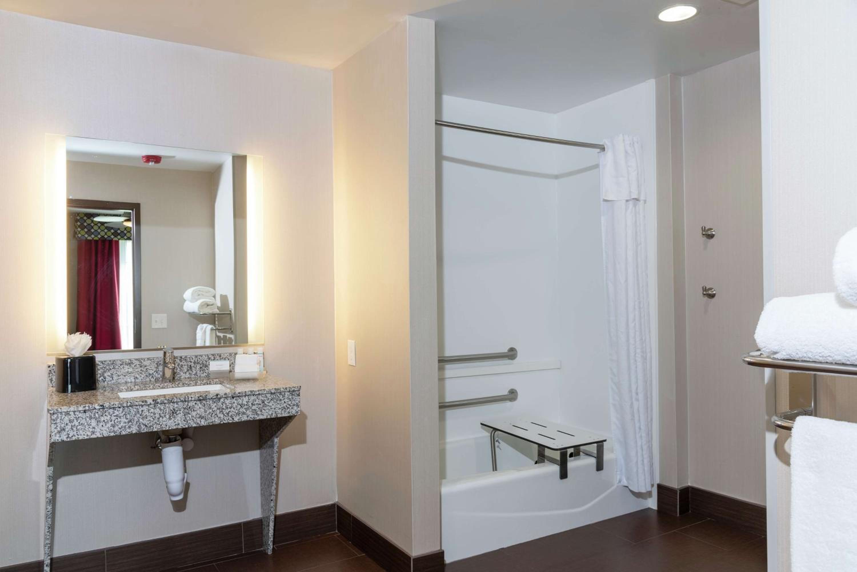 King Studio Suite - Mobility Access/Non-Smoking - Photo 2