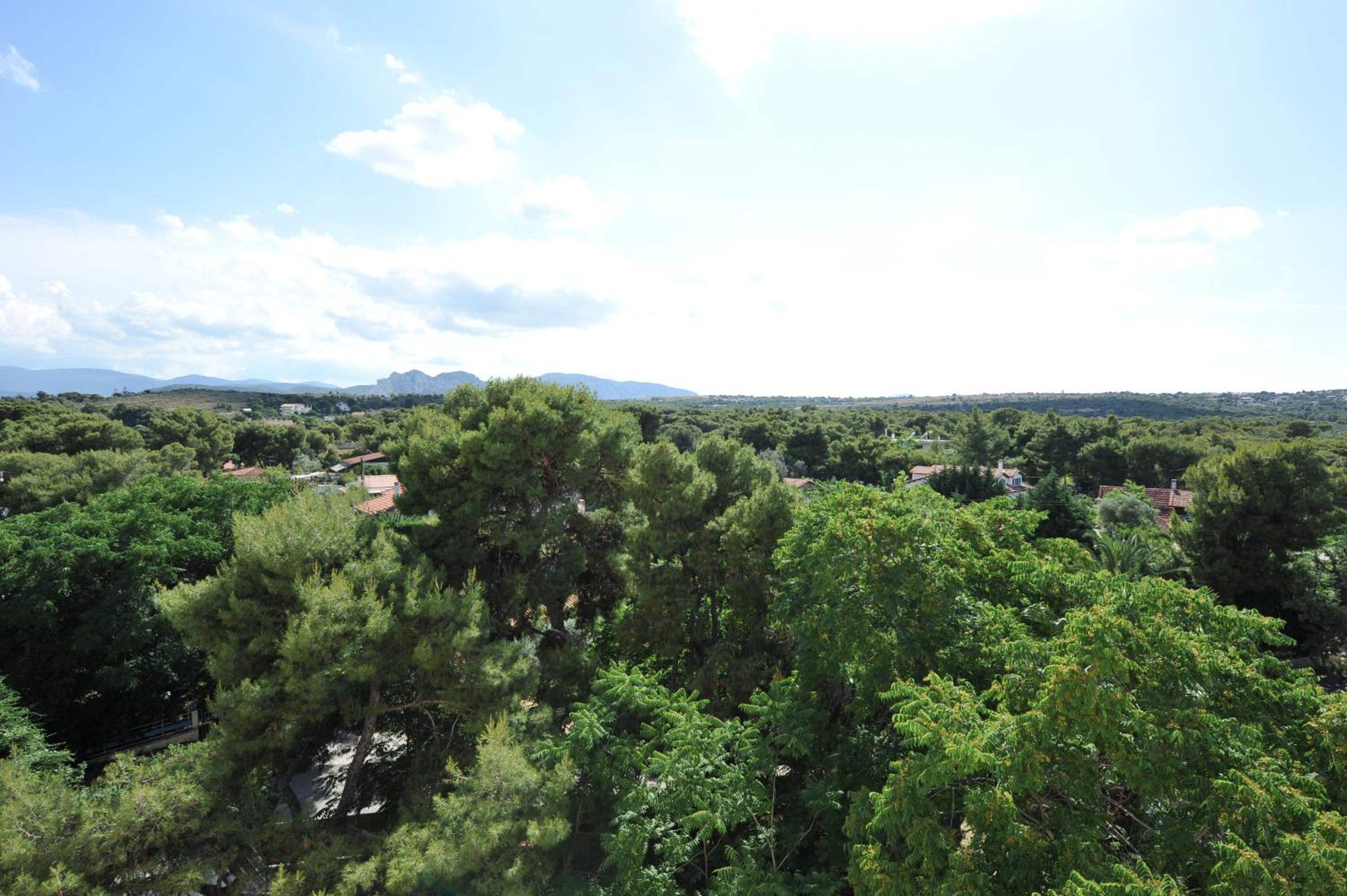 Superior Room Mountain View - Photo 4