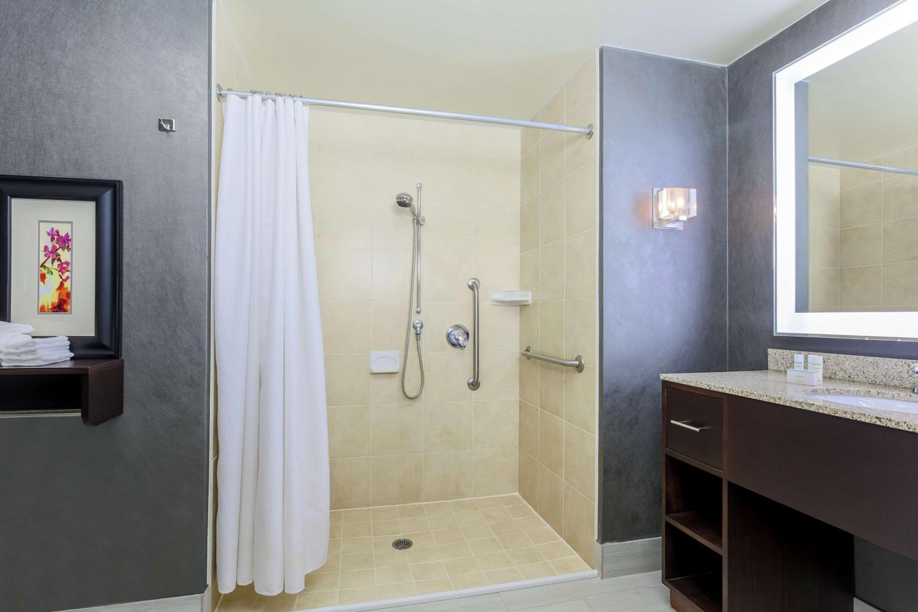 King Suite with Roll-In Shower - Mobility and Hearing Access/Non-Smoking - Photo 3