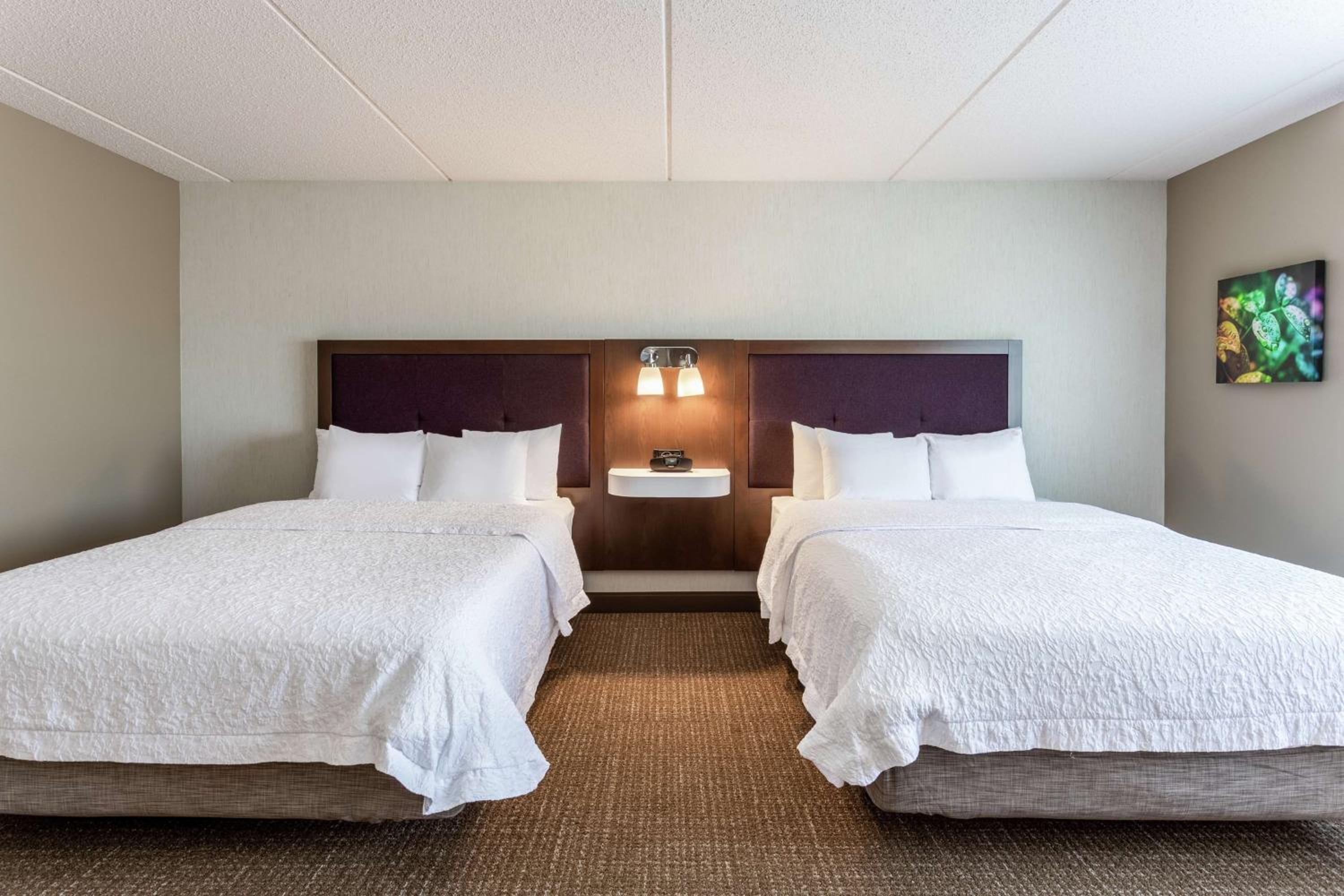 Queen Room with Two Queen Beds - Mobility and Hearing Access/Non-Smoking - Photo 1
