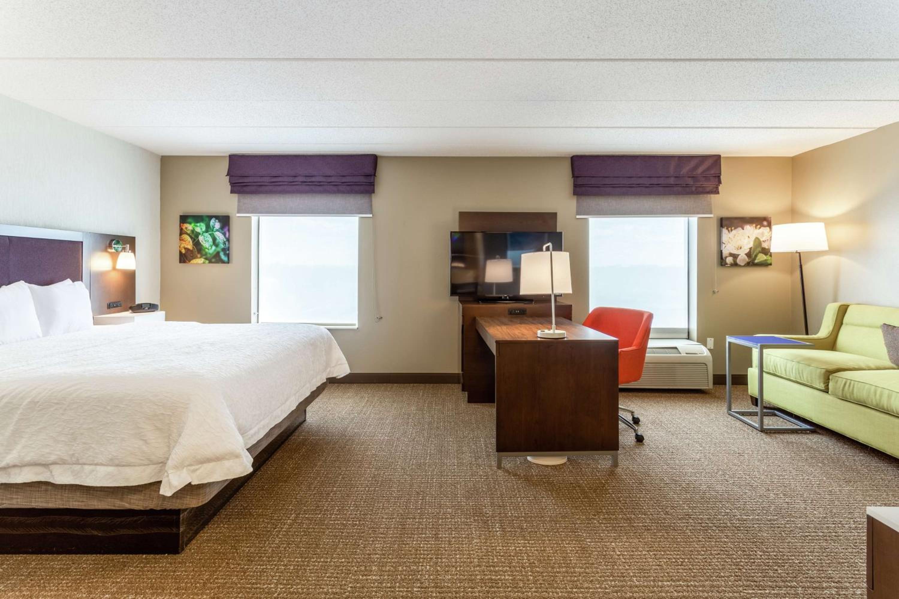 King Studio Suite with Sofa Bed - Non-Smoking - Photo 1