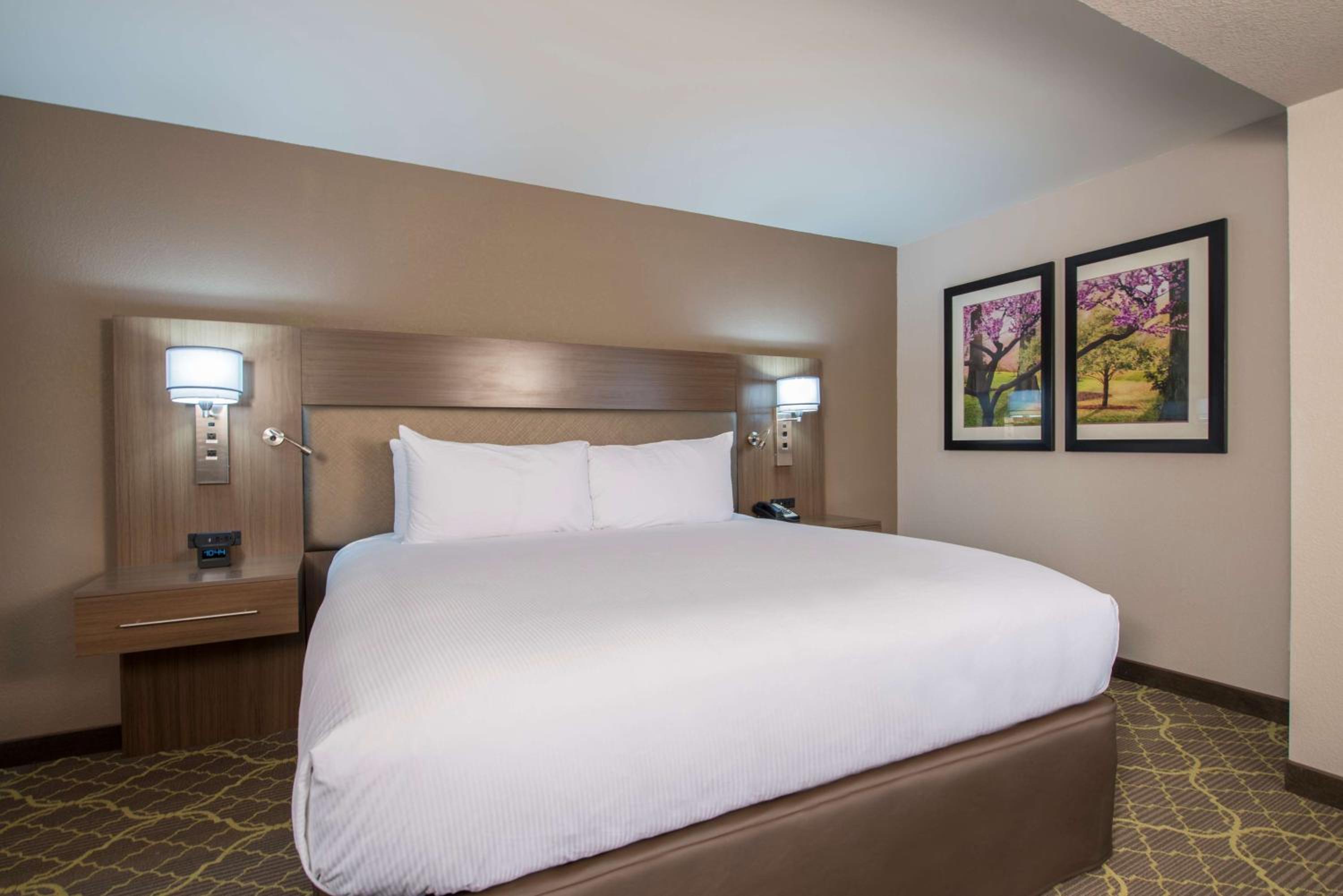 Junior King Suite with Sofa Bed - Photo 3