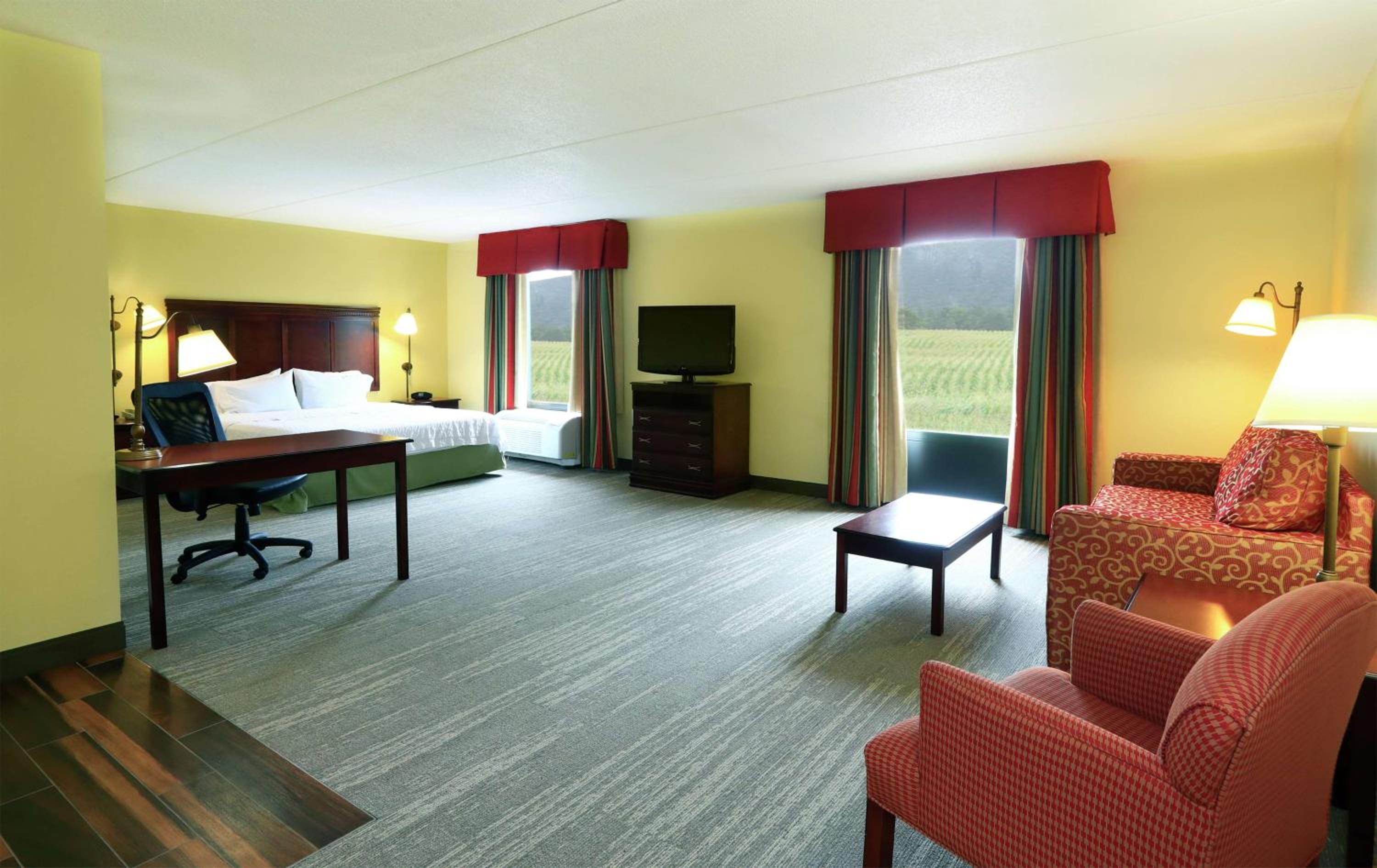 King Studio Suite - Non-Smoking - Photo 1