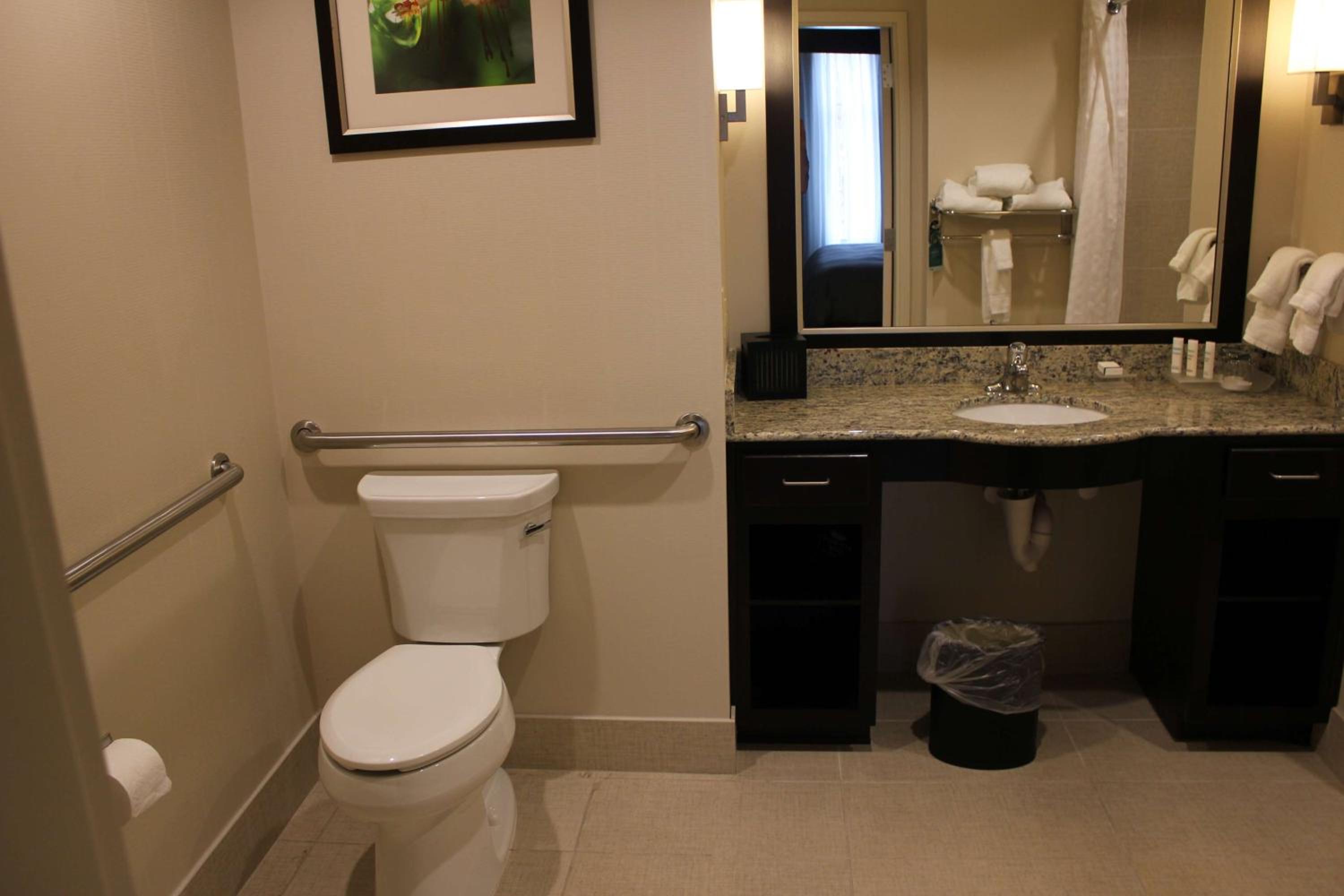King Suite - Mobility/Hearing Access with Bath Tub - Photo 4