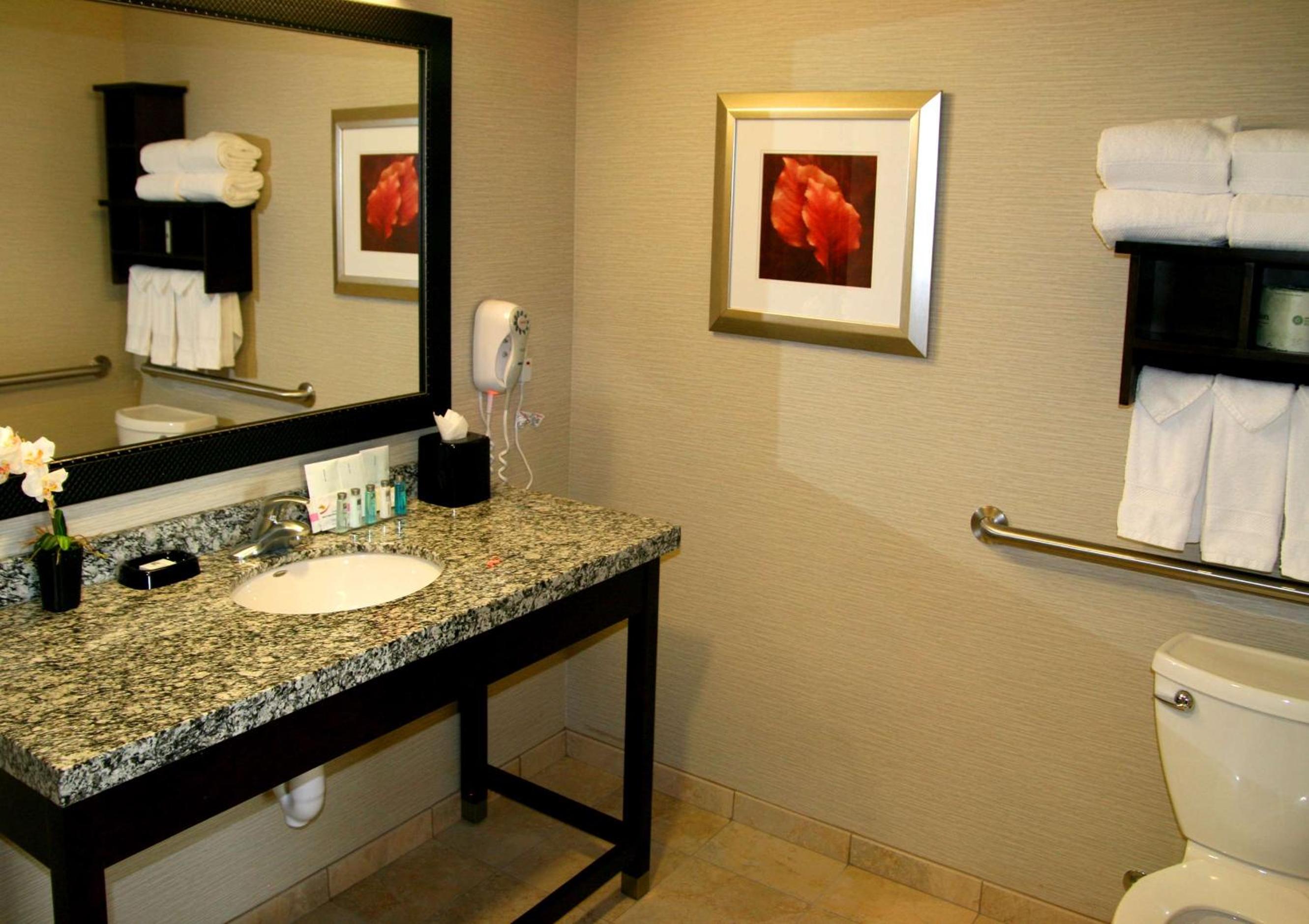 King Studio Suite - Mobility Access/Non-Smoking - Photo 5