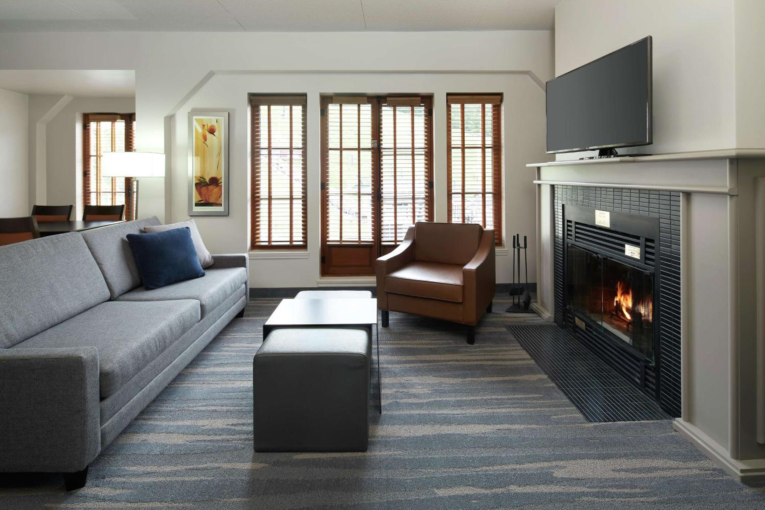 Murphy-Style Queen Bed Studio with fireplace - Photo 5