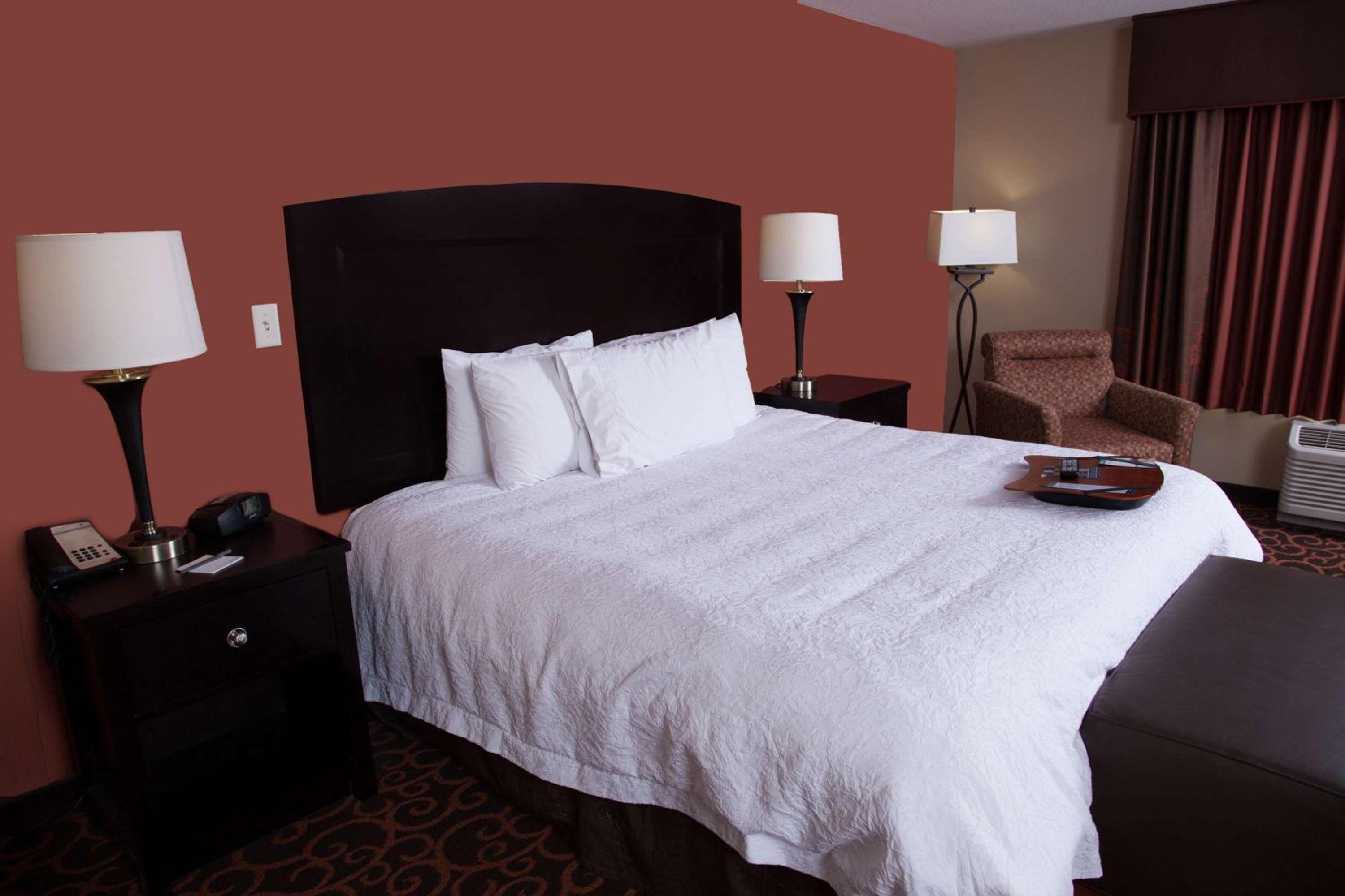 King Studio Suite with Sofa Bed - Hearing Access/Non-Smoking photo 2
