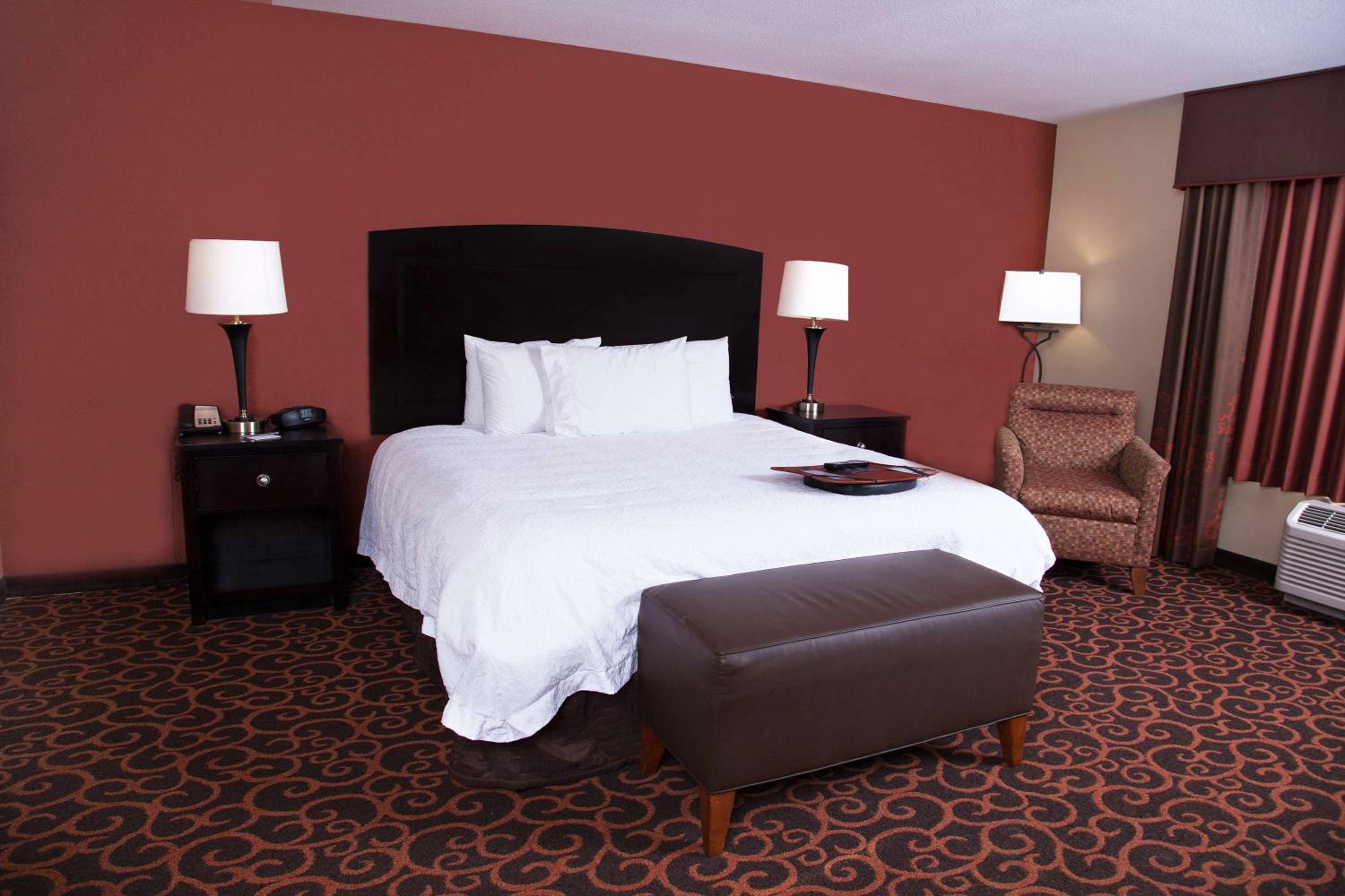 King Studio Suite with Sofa Bed - Hearing Access/Non-Smoking photo 3