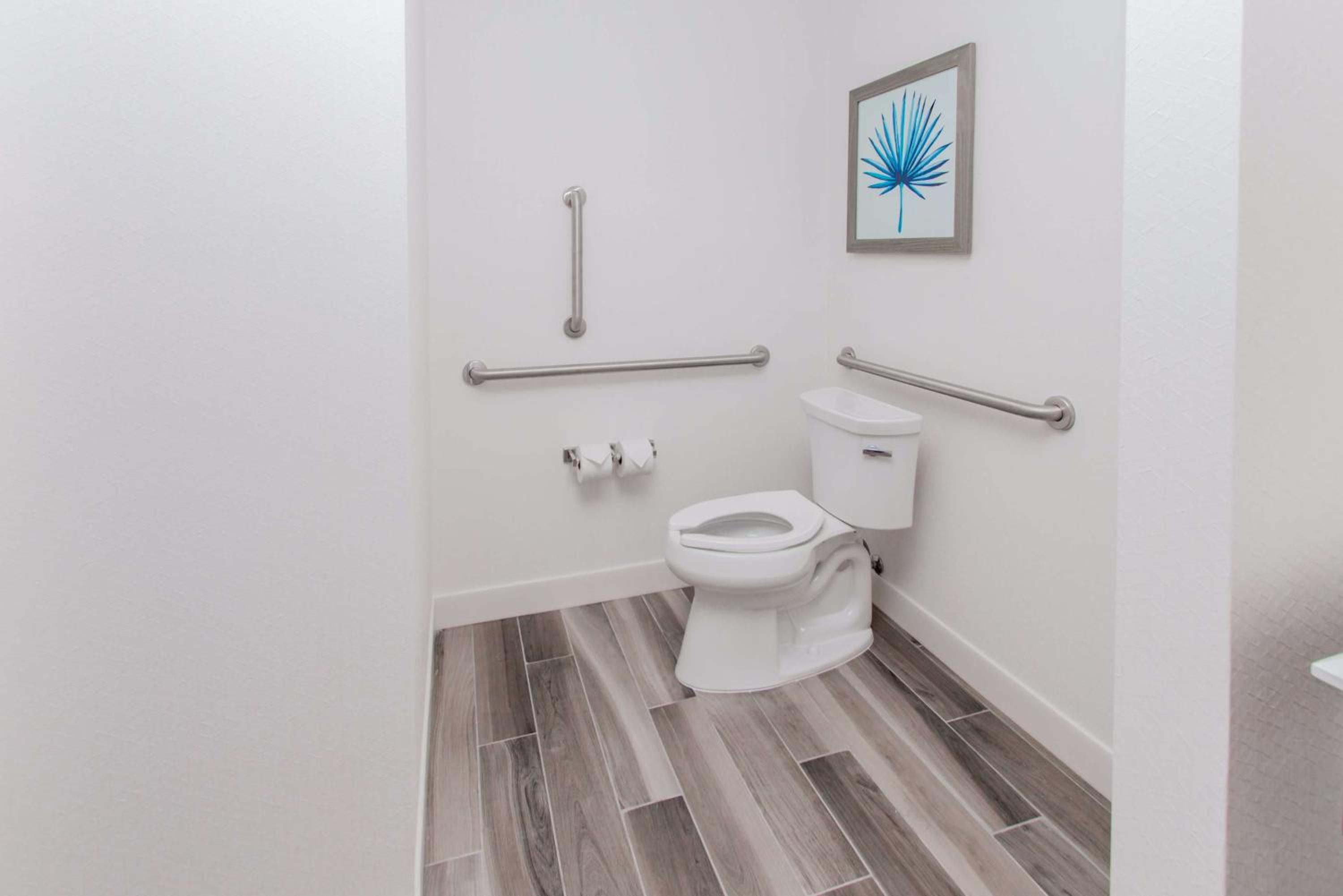 King Studio Suite with Roll-In Shower and Balcony - Mobility Access
