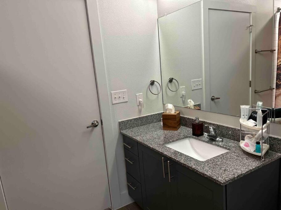 One-Bedroom Apartment photo 3
